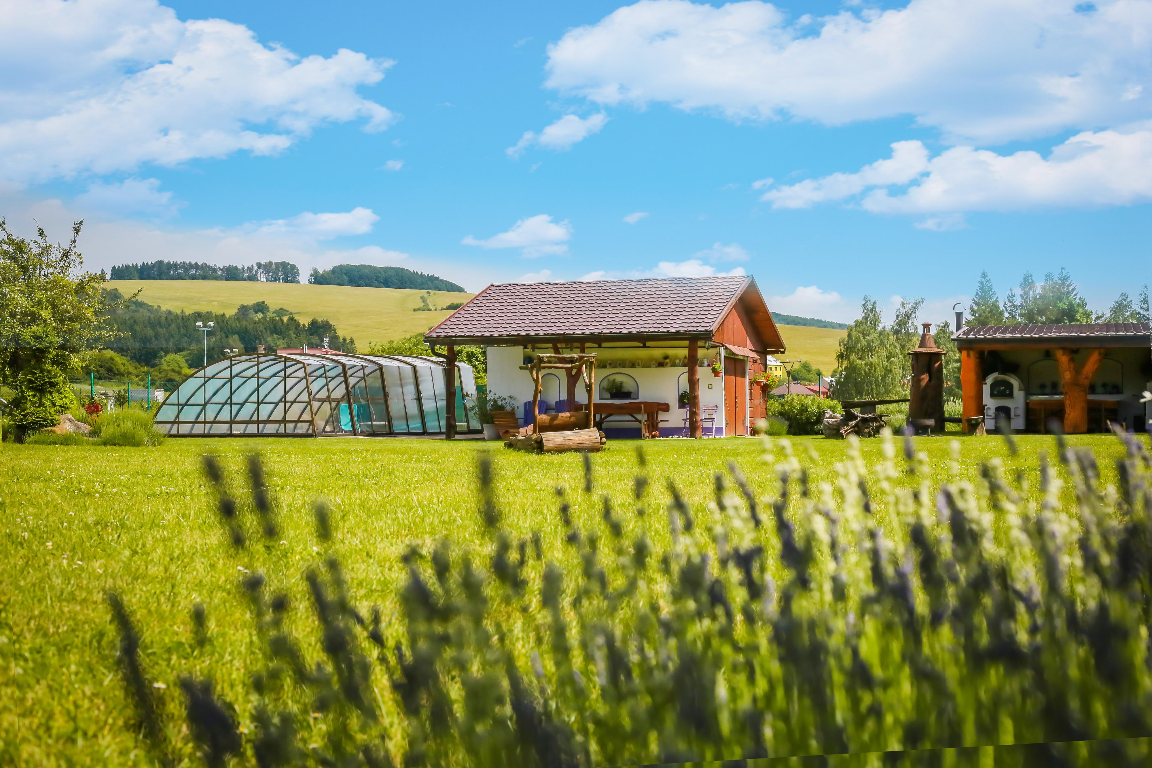 Levandulová farma foto 6