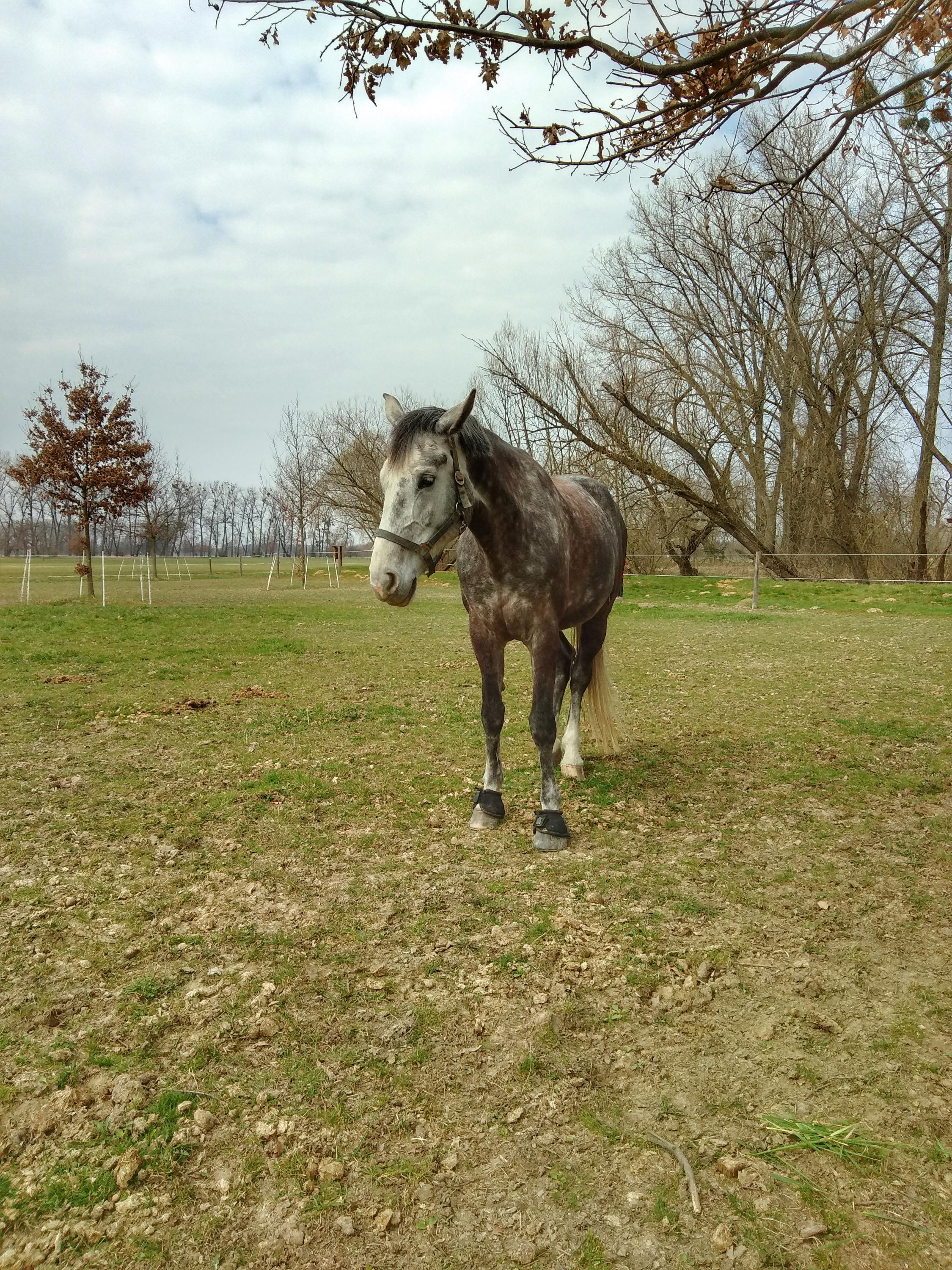 Mlýn vodníka Slámy foto 6