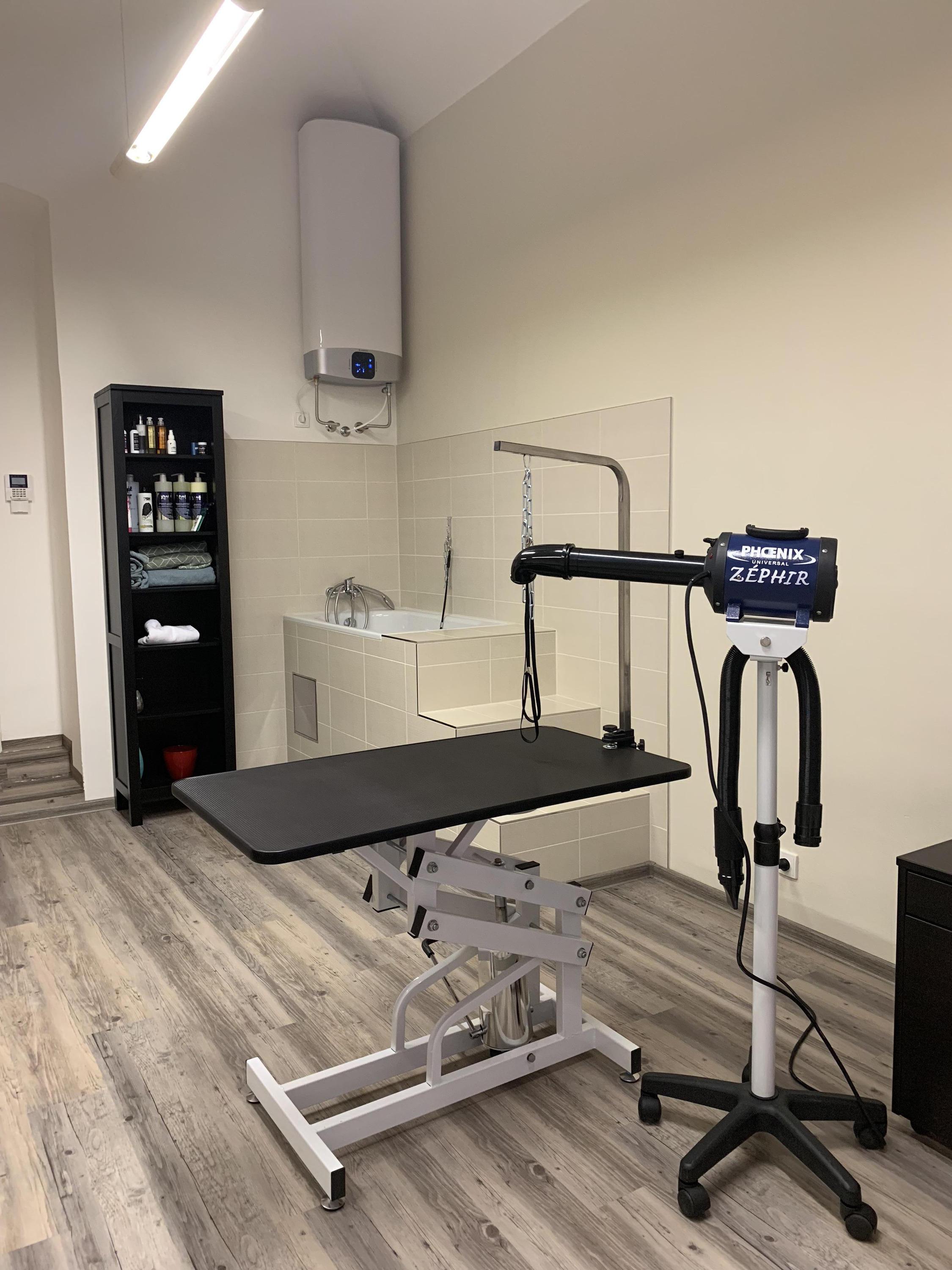 Psí salon Archie foto 6