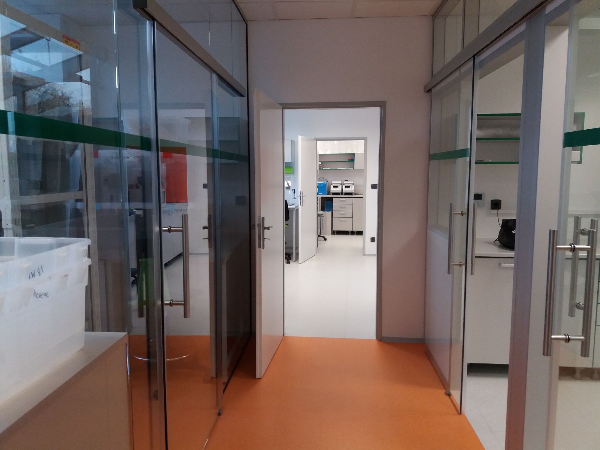 Mendelova univerzita v Brně - Lesnická a dřevařská fakulta foto 3