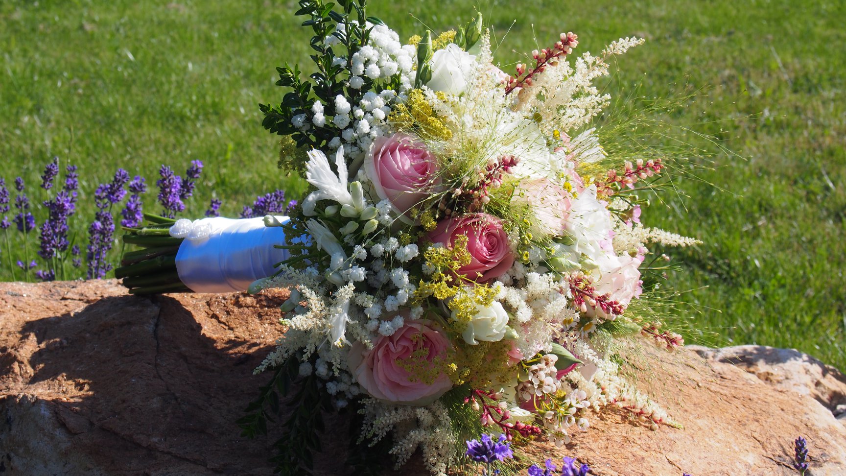 Zahradní centrum "Strakovo" s.r.o. foto 3