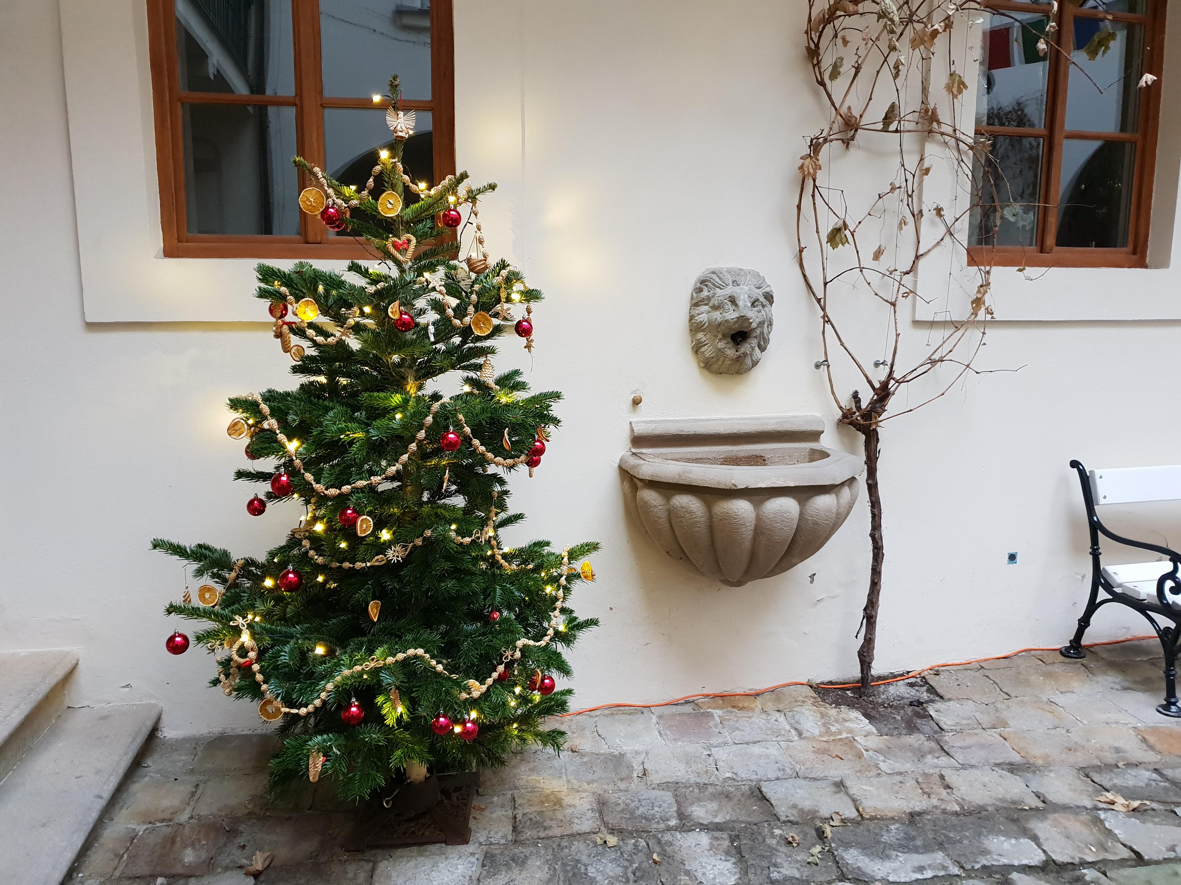 Monako - Honorární konzulát Monackého knížectví foto 5