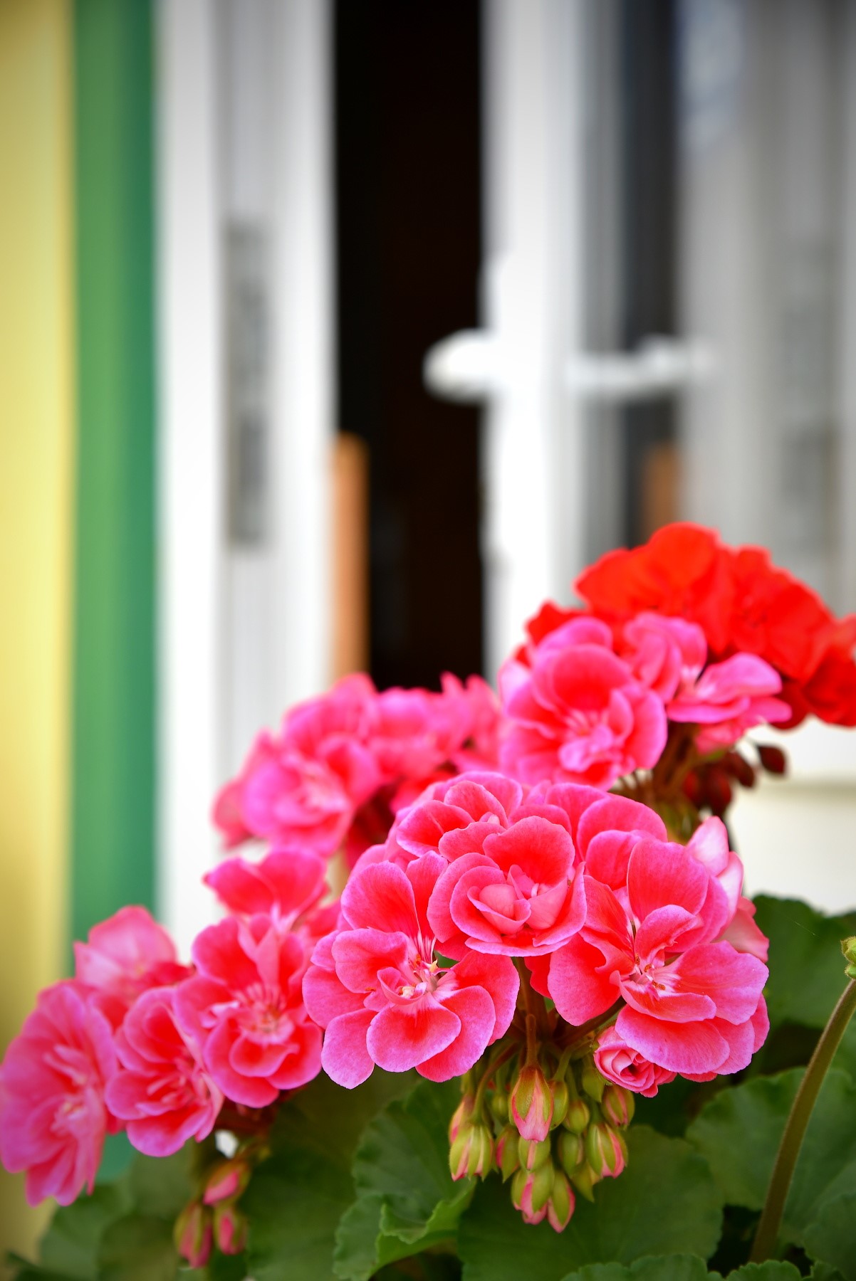 Penzion Slunečnice foto 2