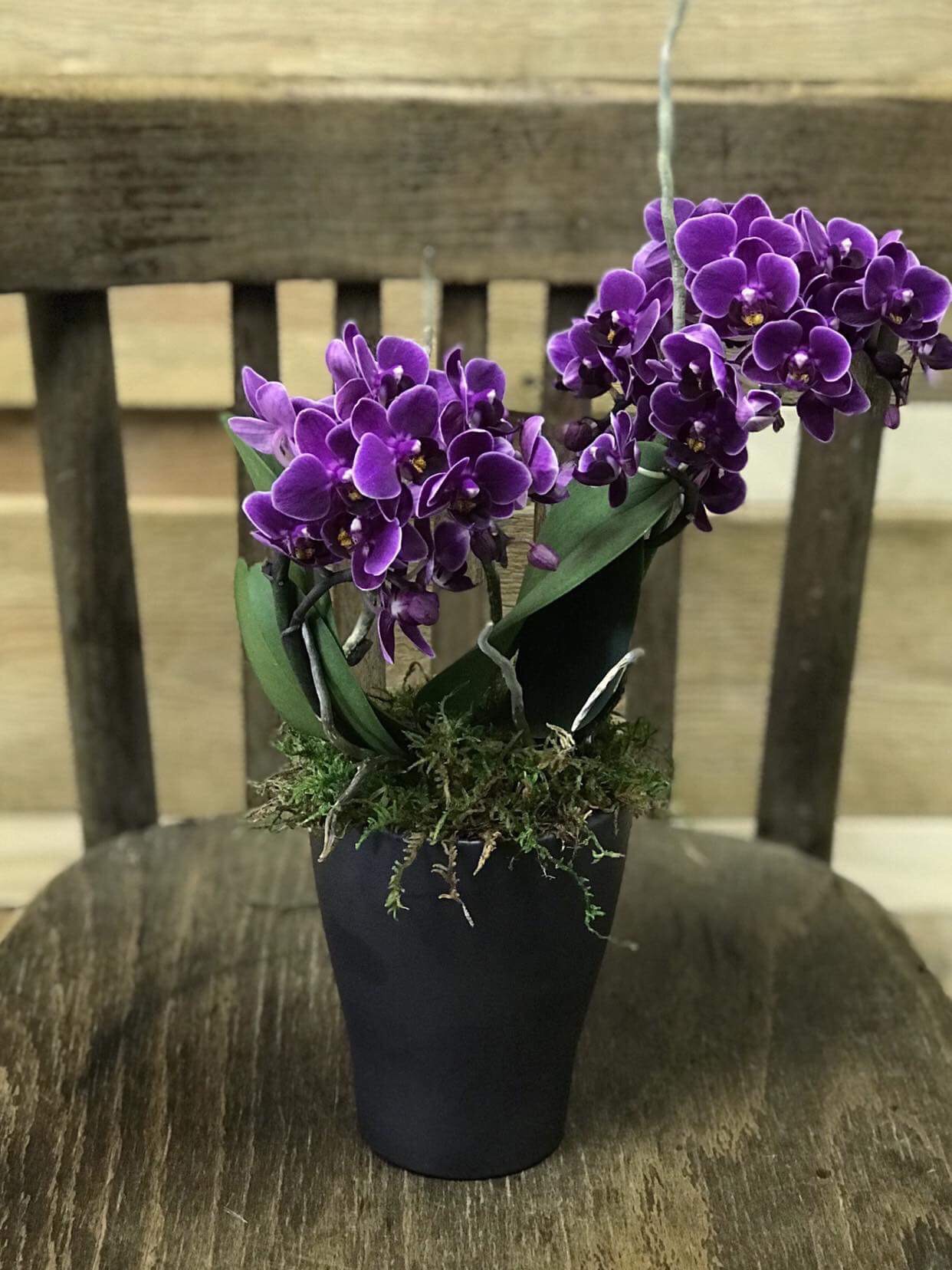 Květinářství Voňka foto 3