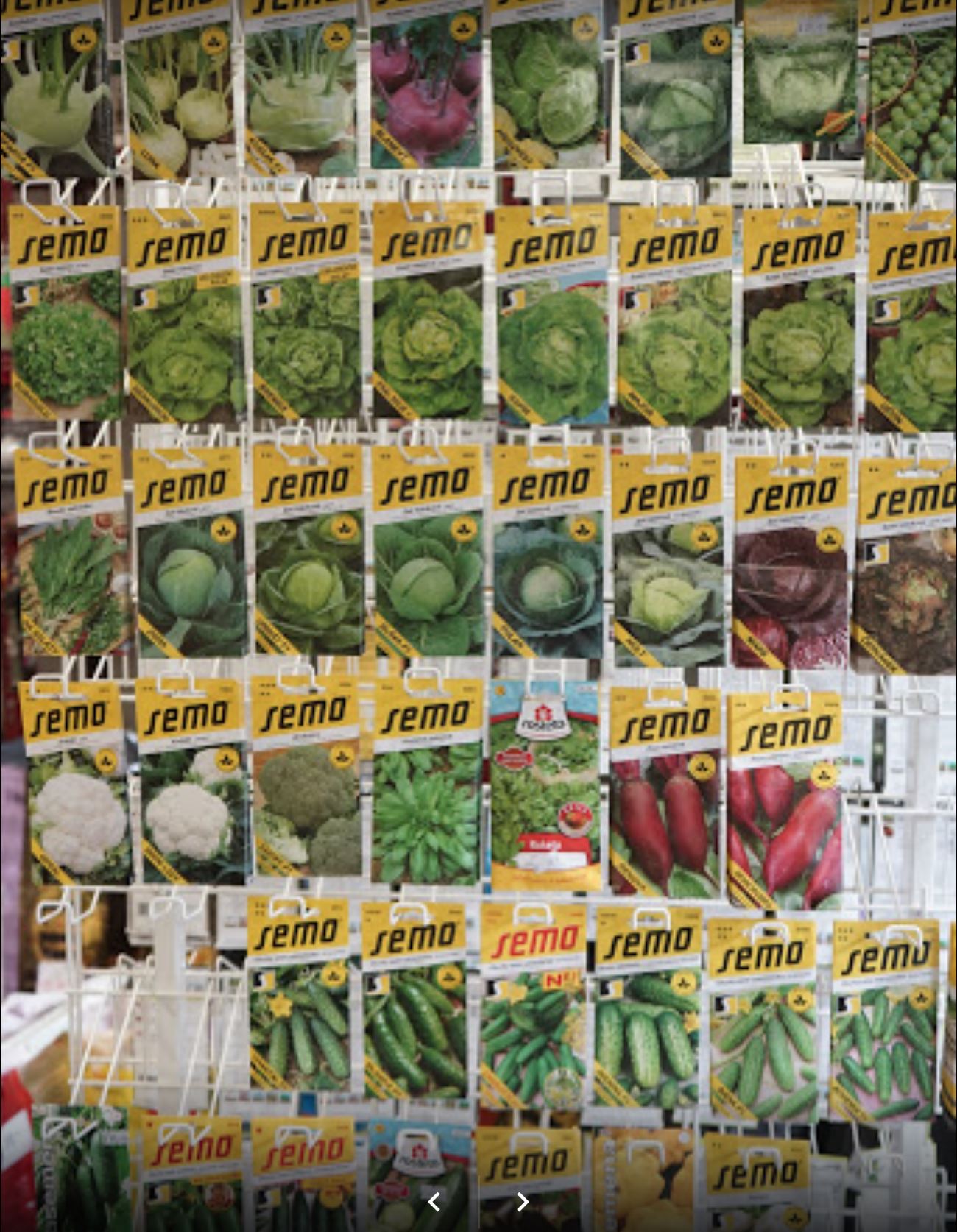 Lenka Bařinová foto 4