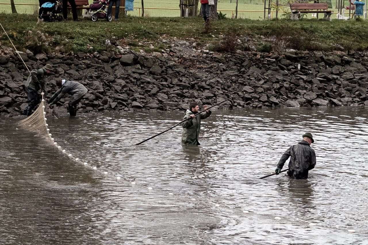 ČRS MO ÚJEZD NAD LESY