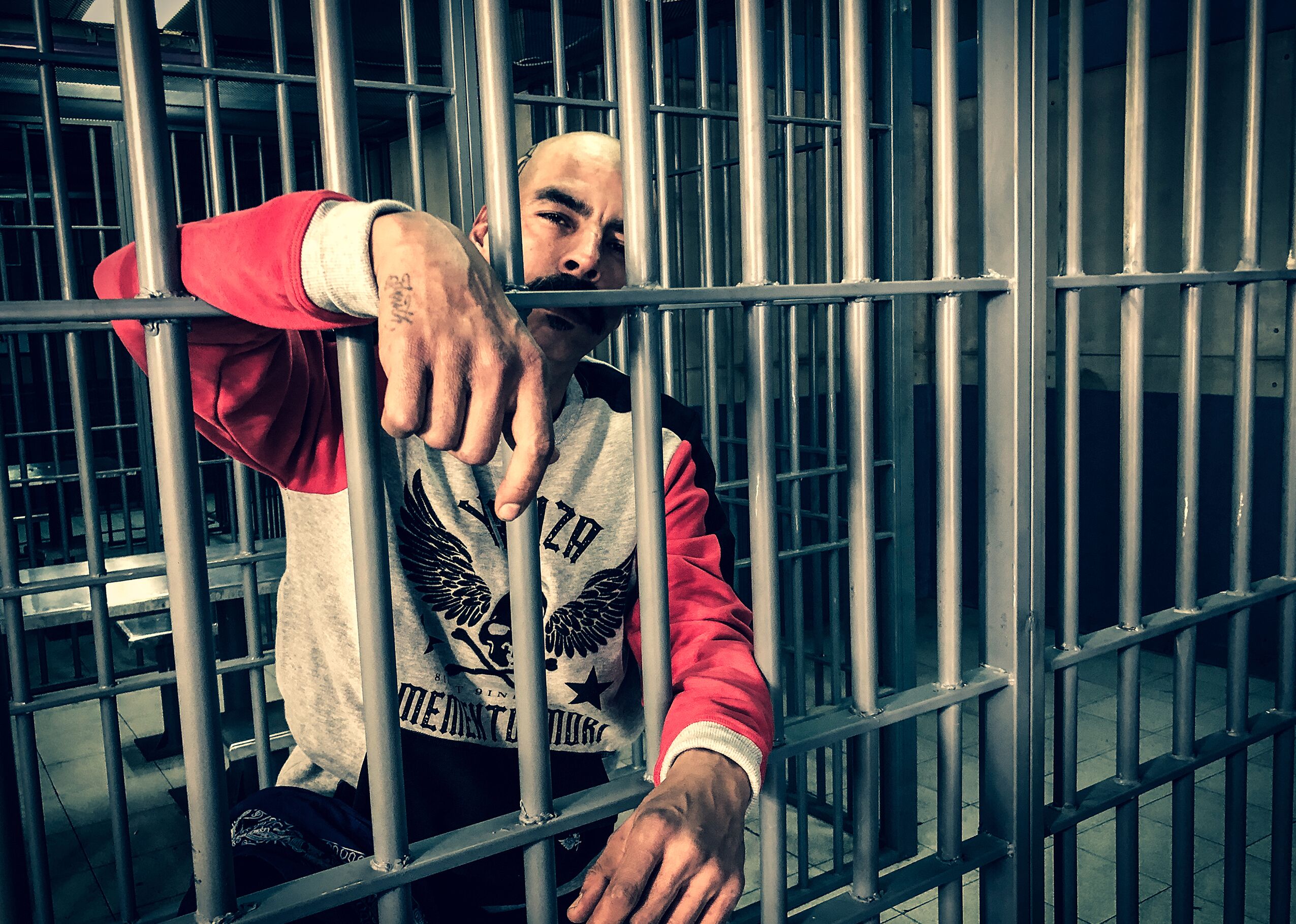 Yakuzaczech.cz foto 3