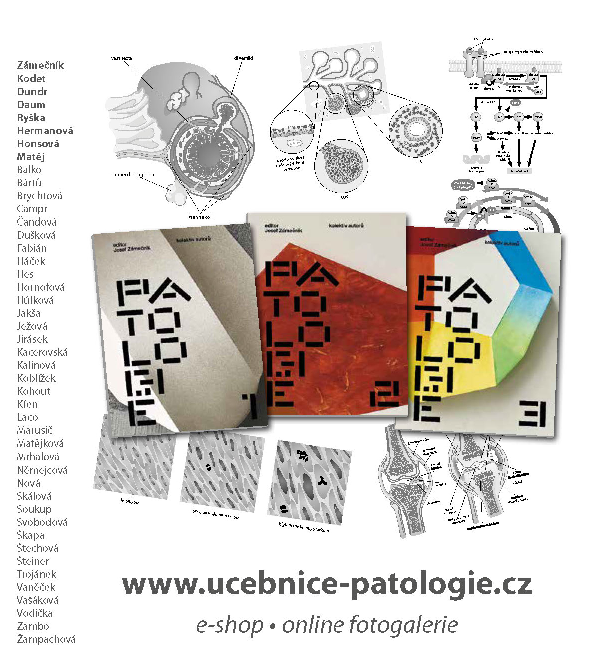 LD s.r.o. Tiskárna Prager foto 3