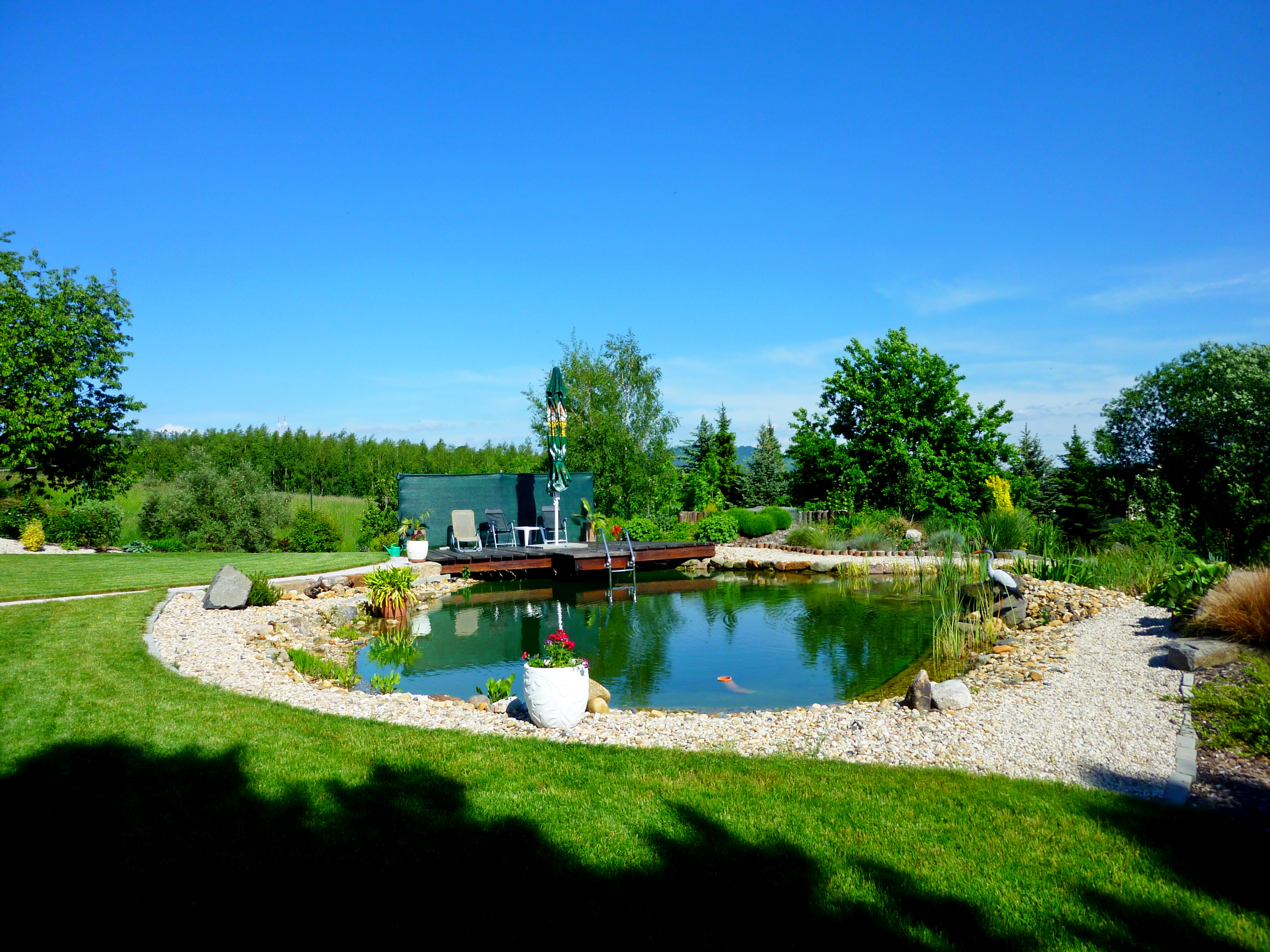 Zdeněk Pokorný foto 5