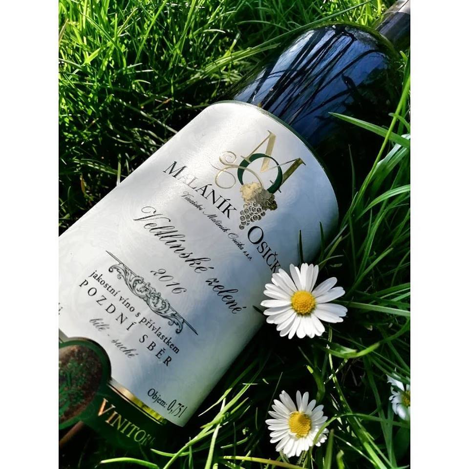 Penzion Vinařství Maláník-Osička foto 3