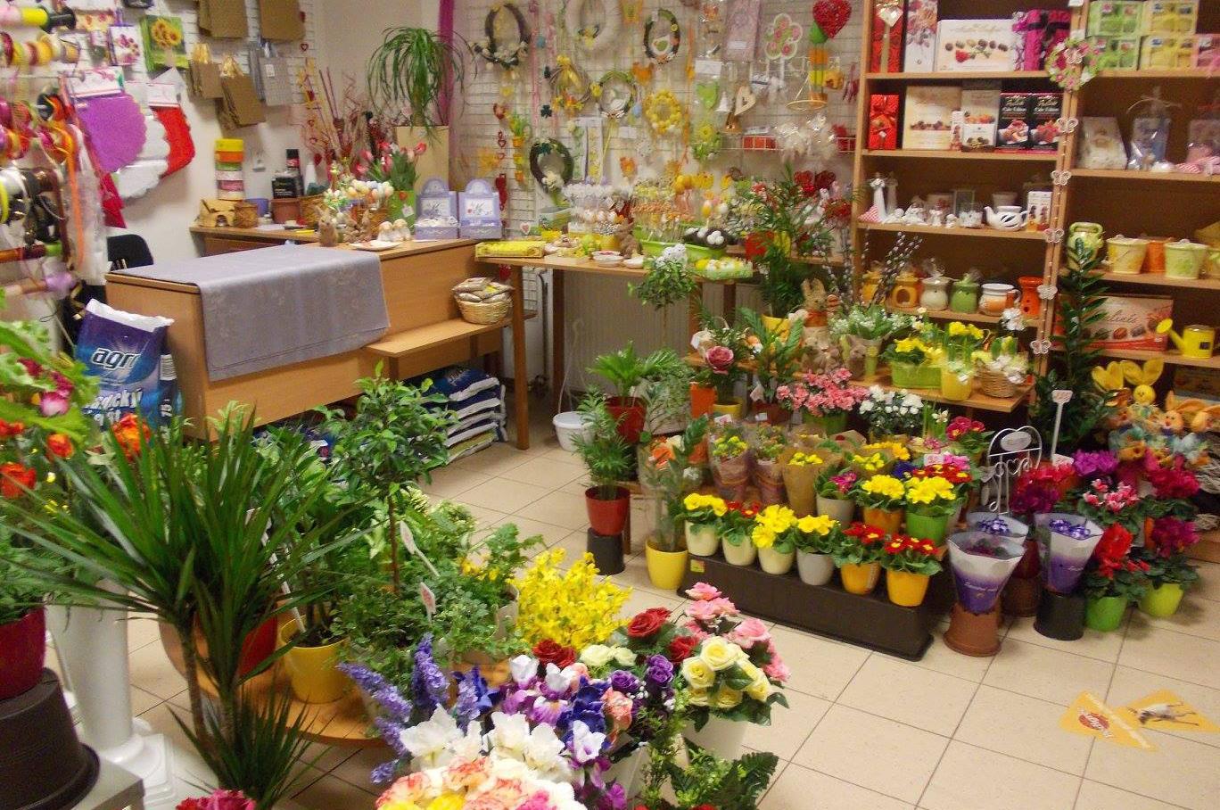 Květiny Nový Malín