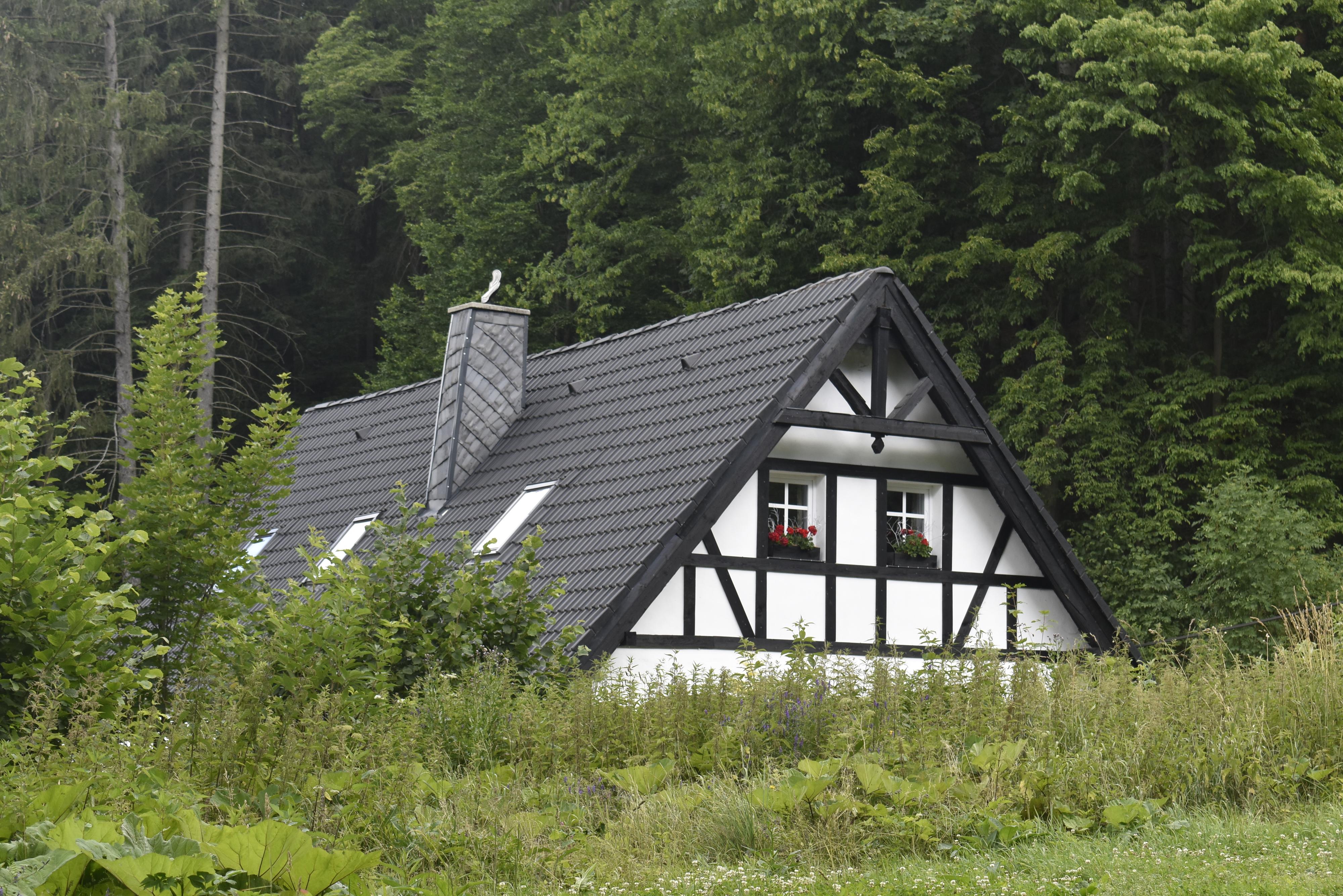 Chalupa Dlouhý Důl 19 foto 2