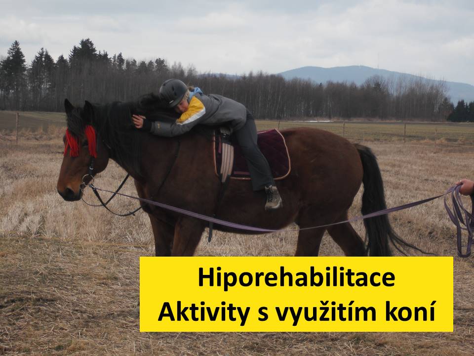 KONÍČEK, o.p.s. foto 4