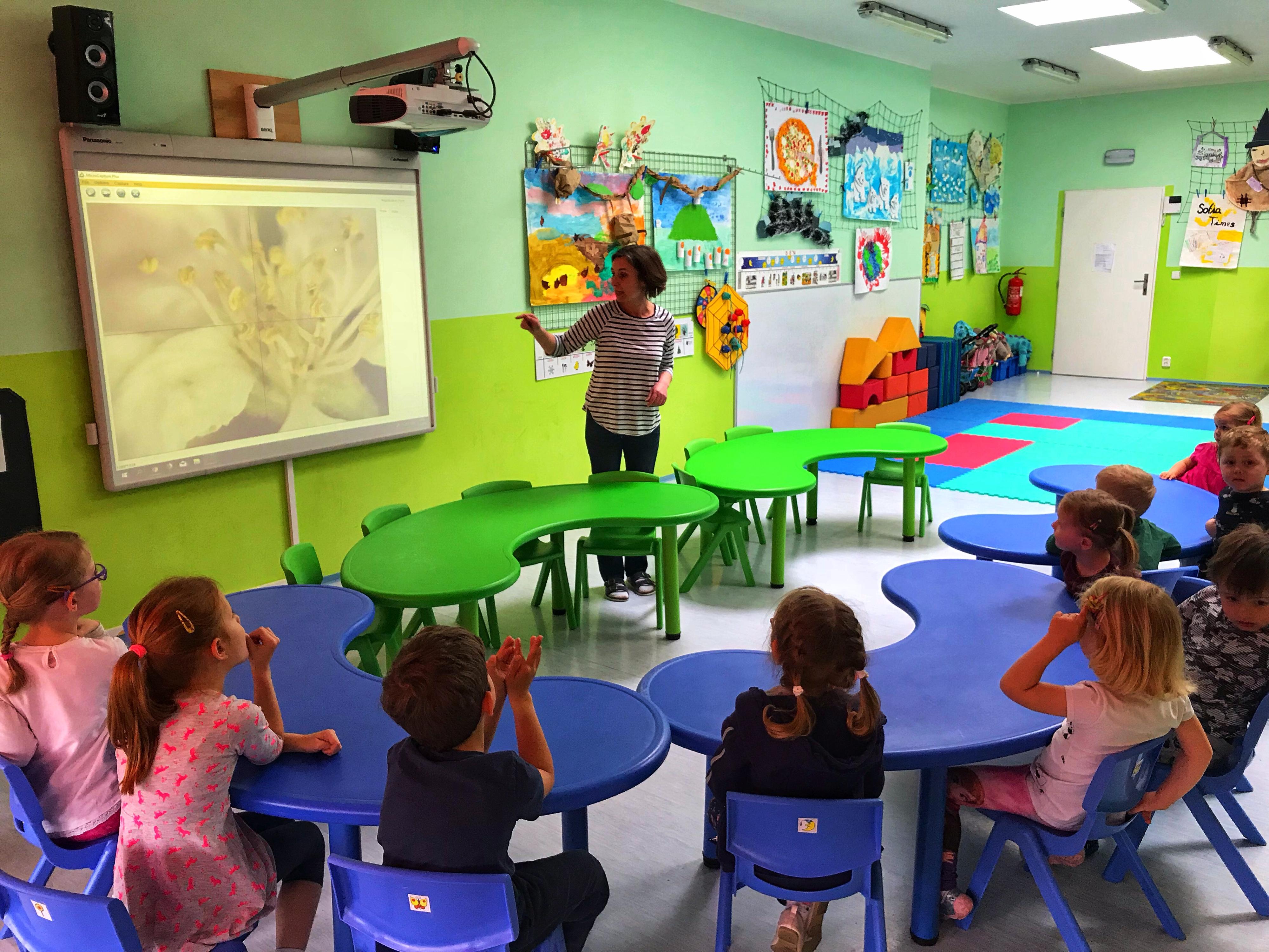 Mateřská škola a základní škola Sofia School s.r.o. foto 4