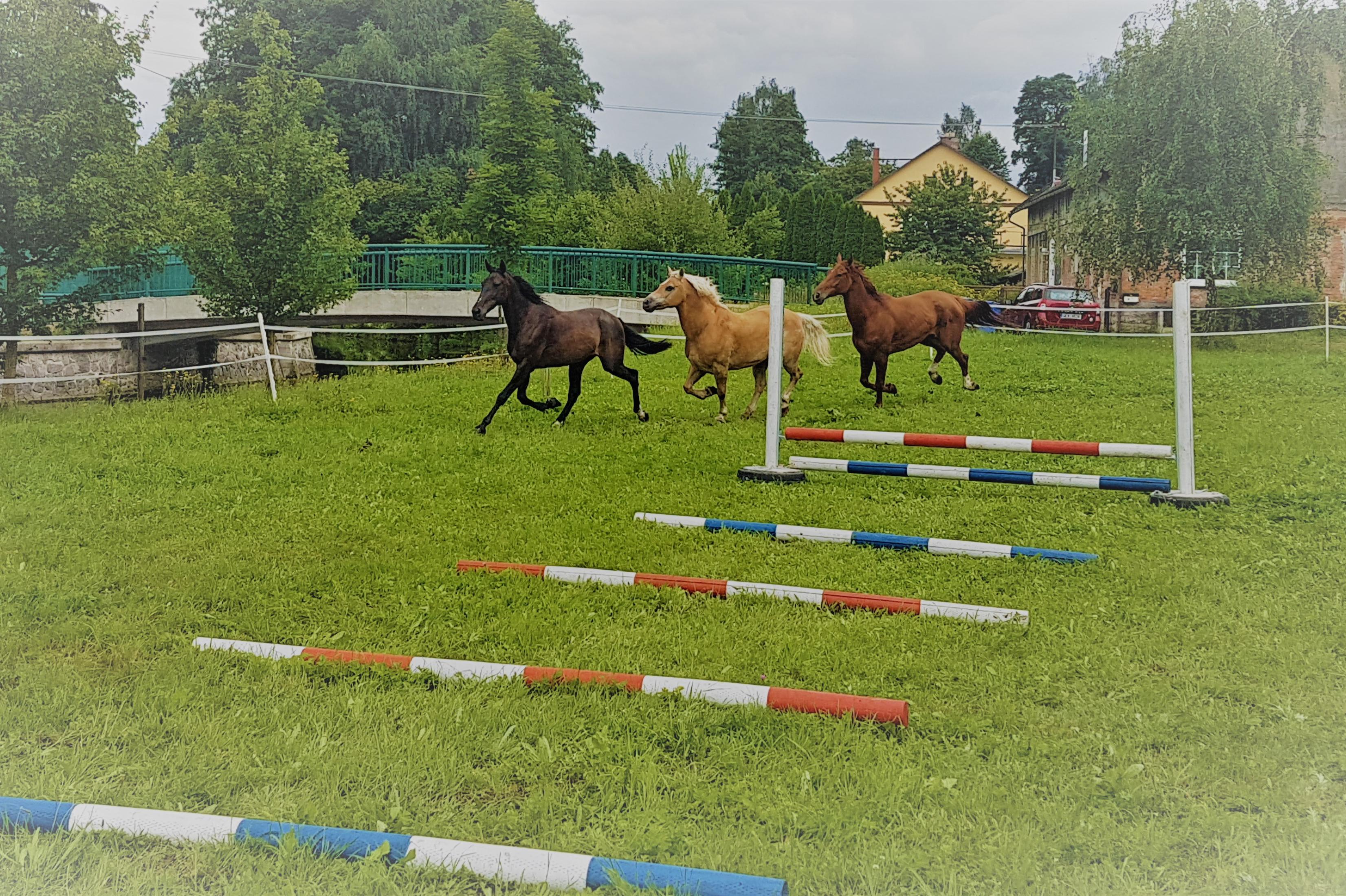 Jezdecká škola U Pinkasů