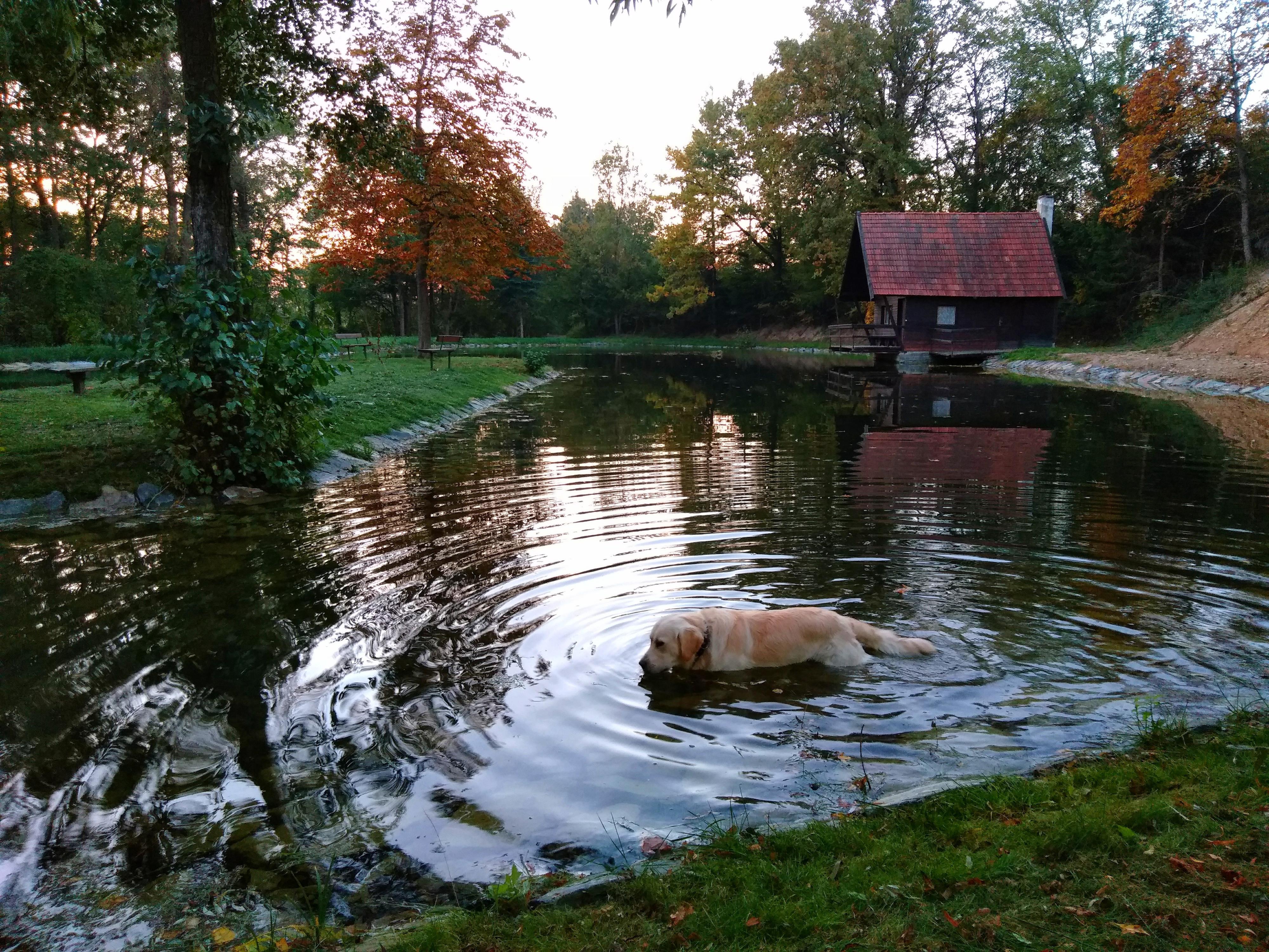 Háj u Rybníčků foto 2