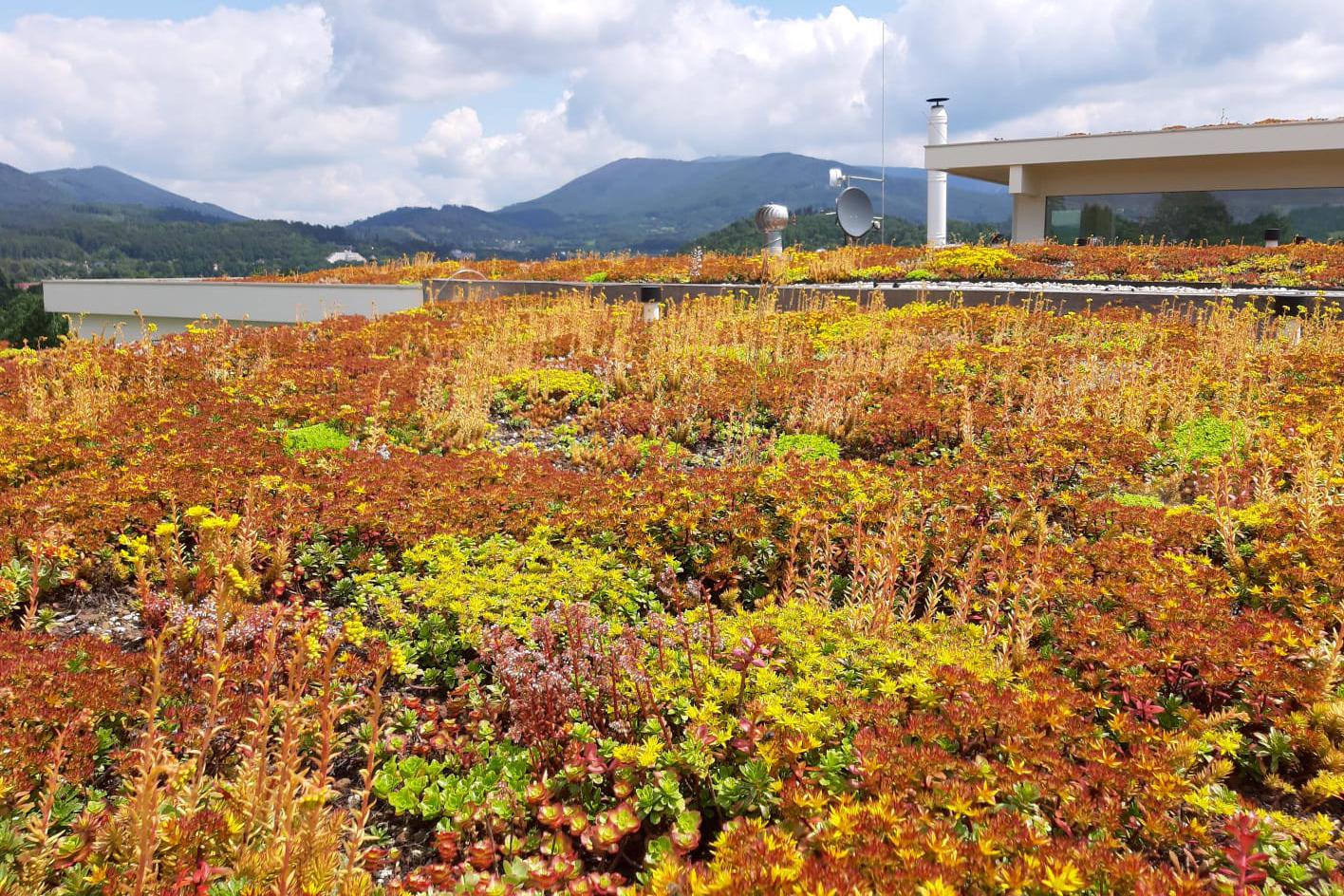 Ing. Dalibor Válek - zahrady sad foto 1