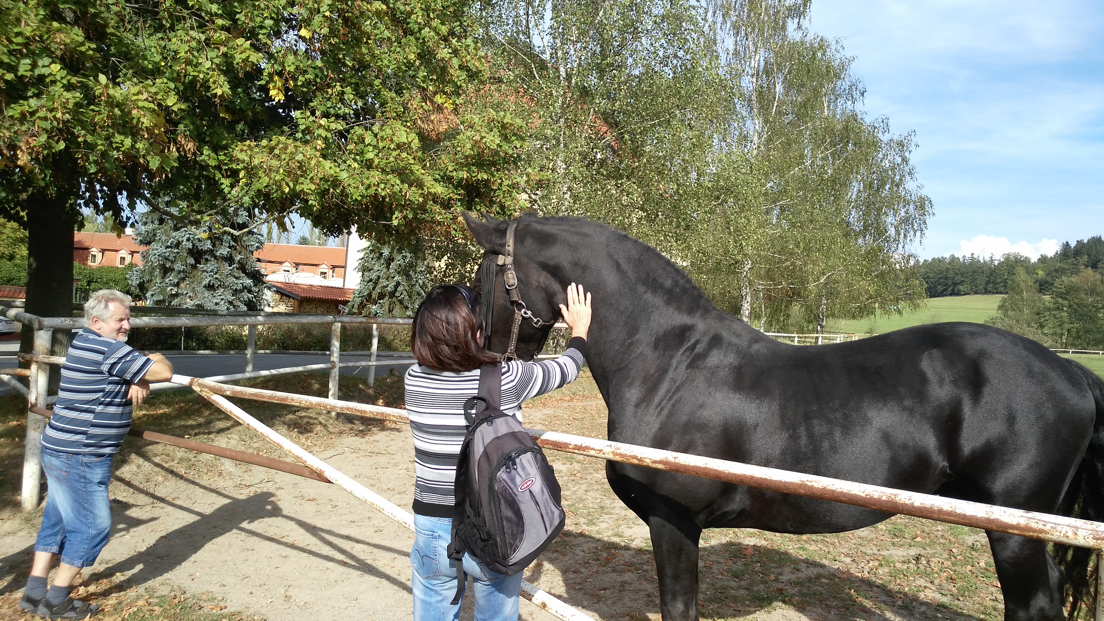 DVŮR PECÍNOV foto 4