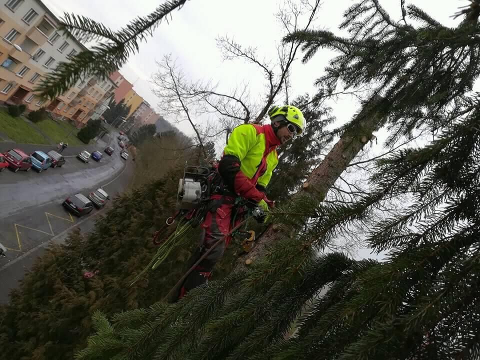 Prorezstromu.eu foto 3