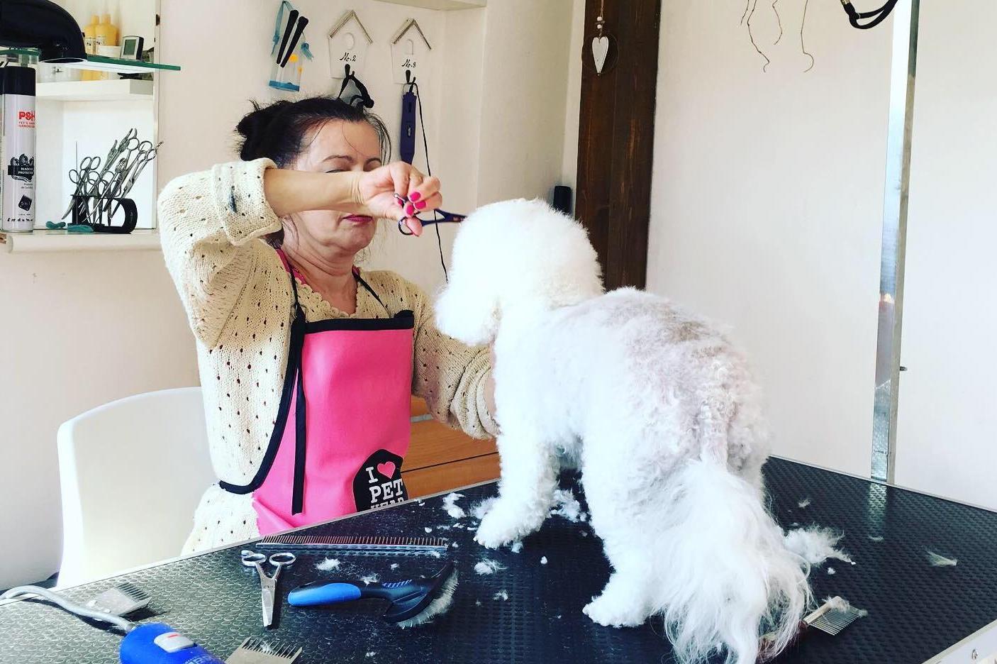 Salon a lázně pro psy SilkDarling