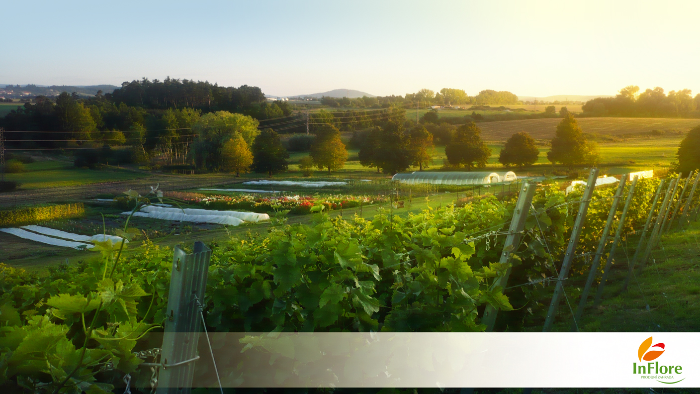 Prodejní zahrada InFlore foto 3