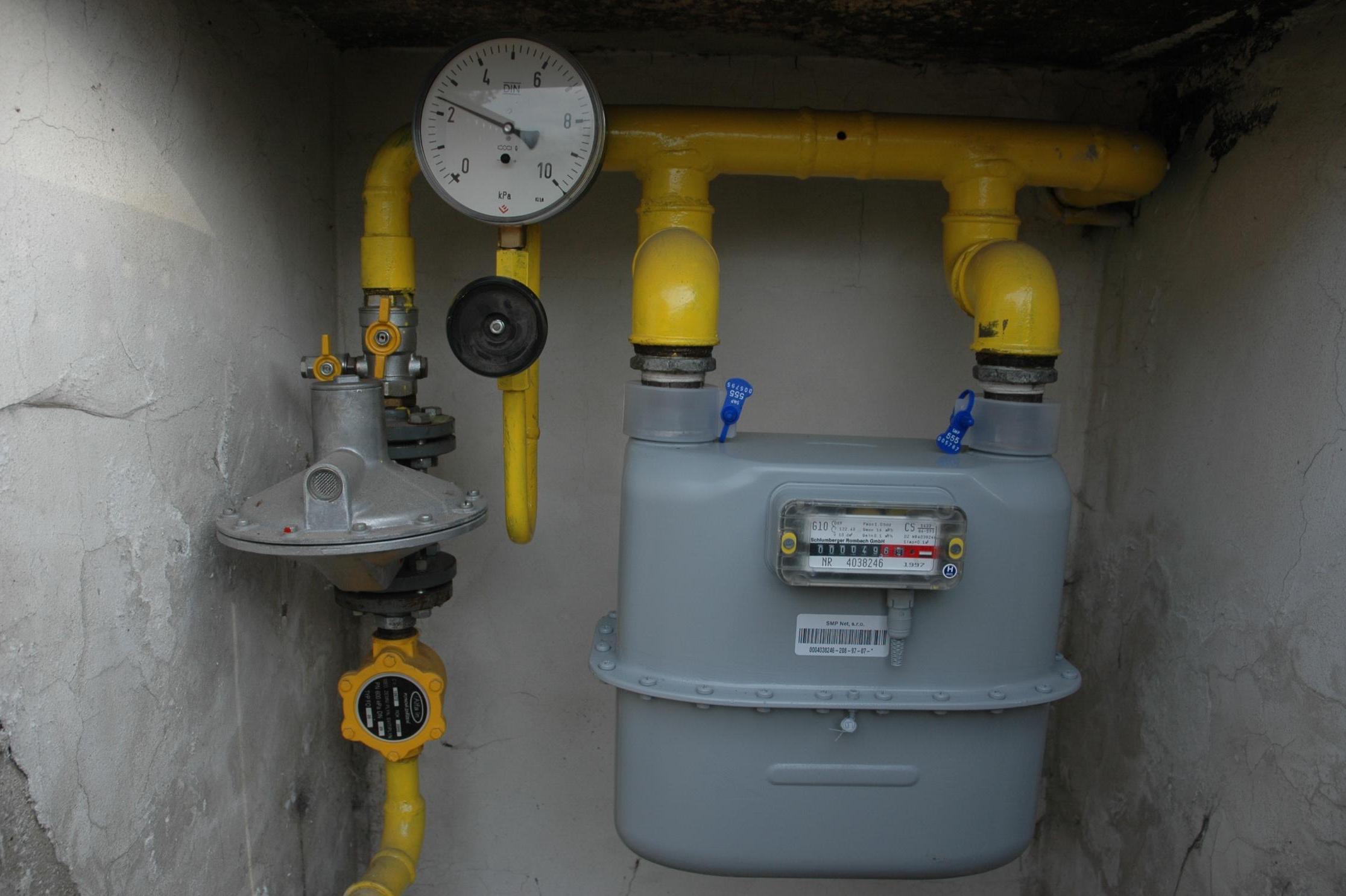 Blanka Nováková foto 1