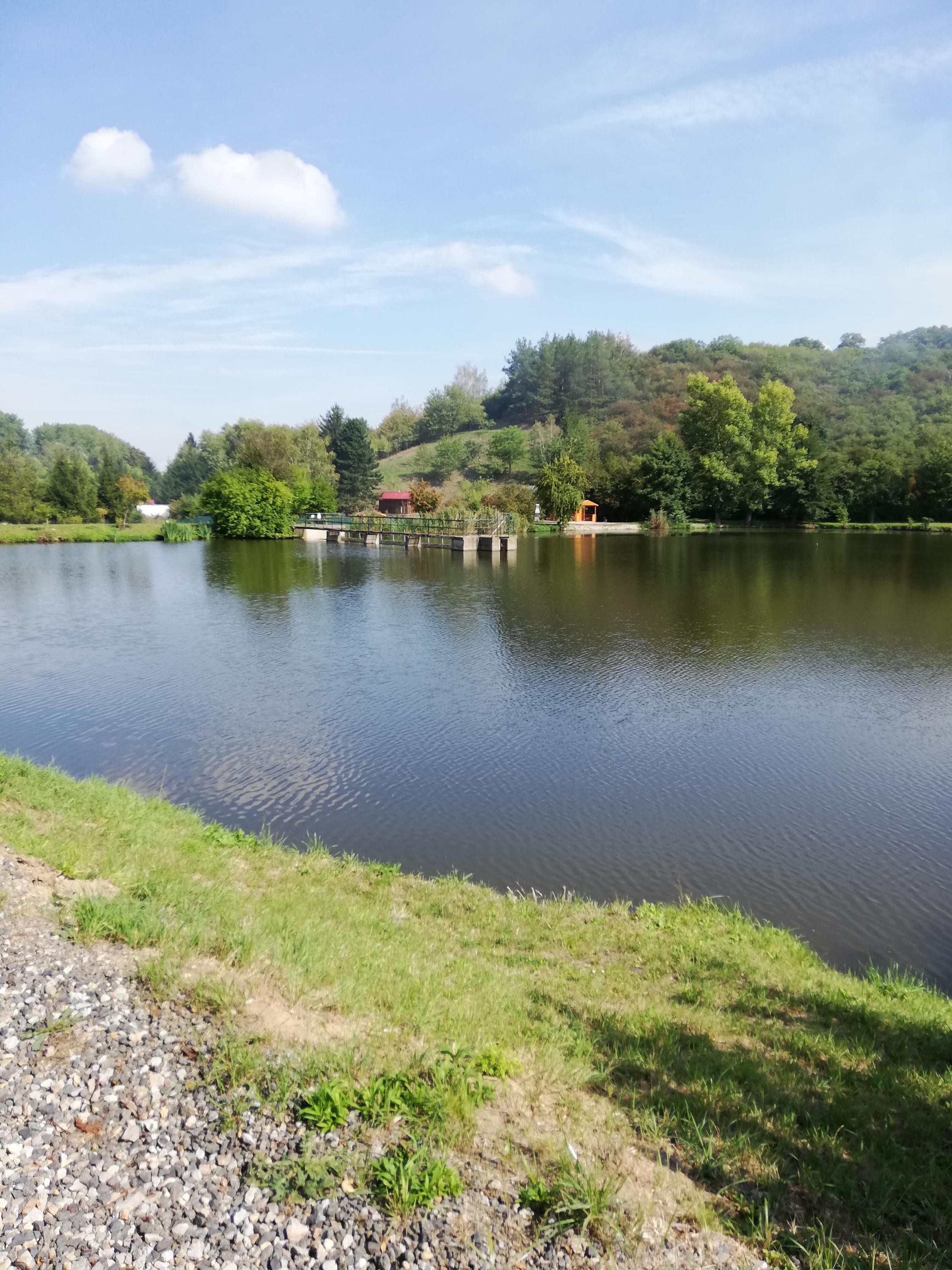 Rybník Dřetovice - Sportovní rybolov foto 2