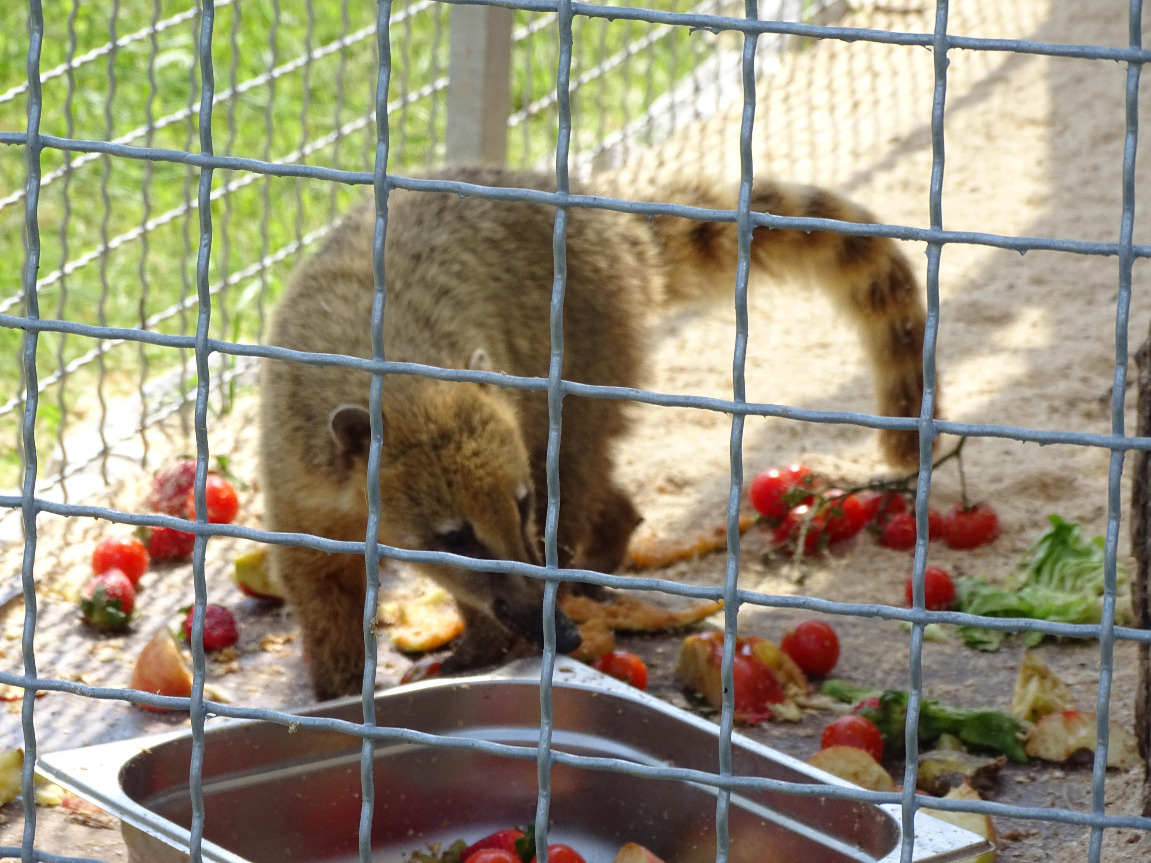Rekreační park Karlštejn foto 3