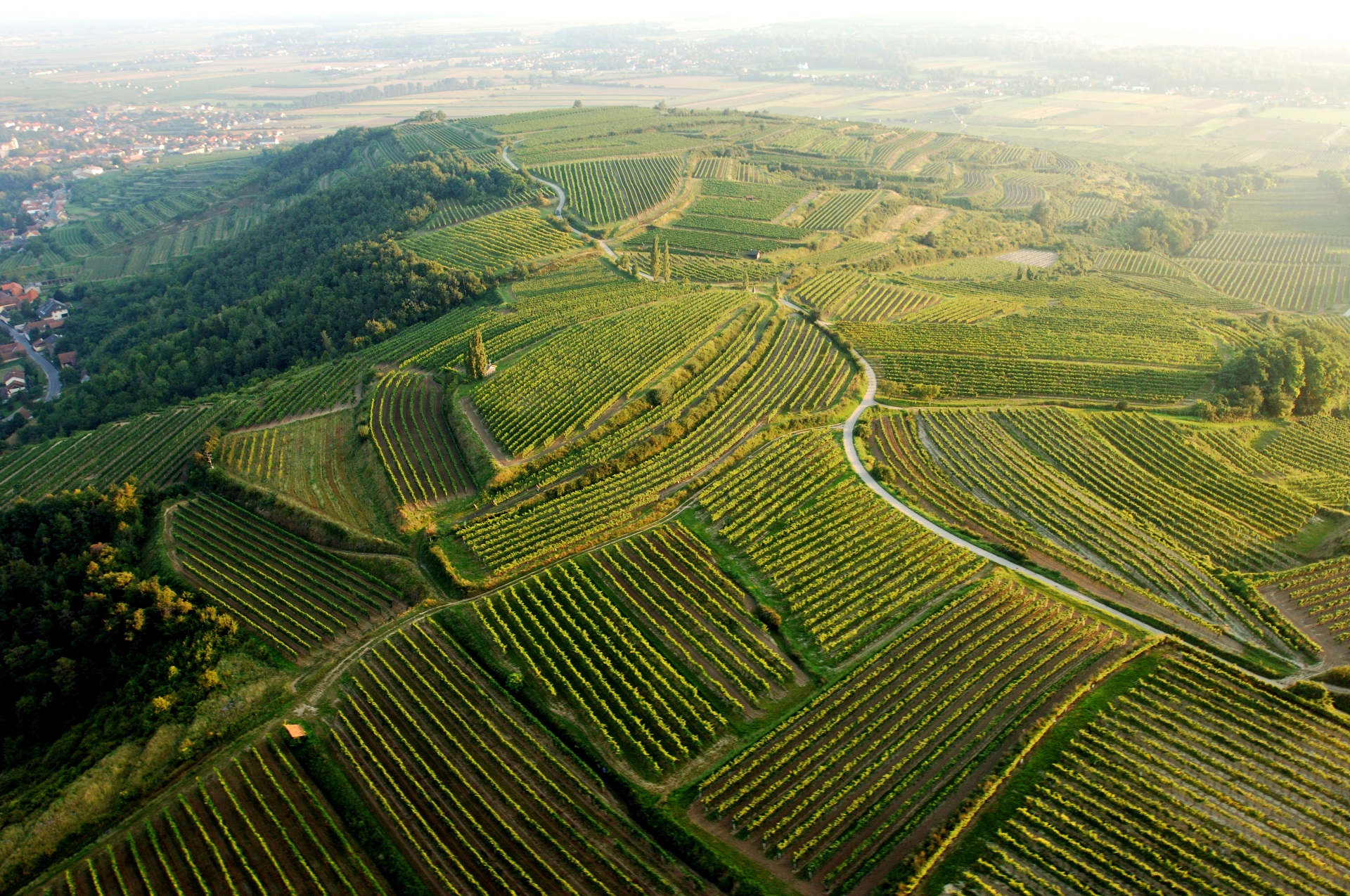 Zárybnický & Wines foto 2