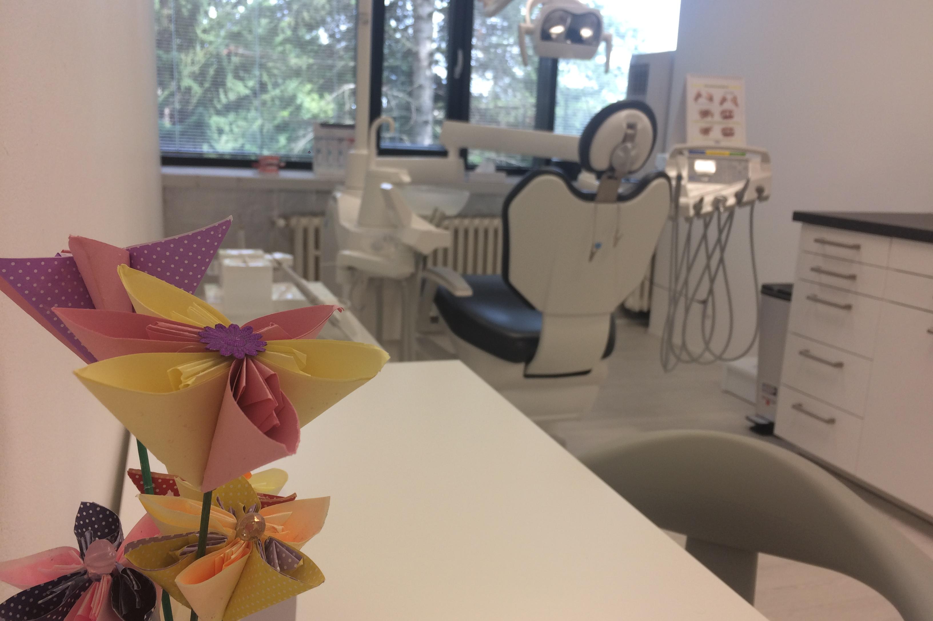 Dentální hygiena Šárka Wilhelmová, DiS.