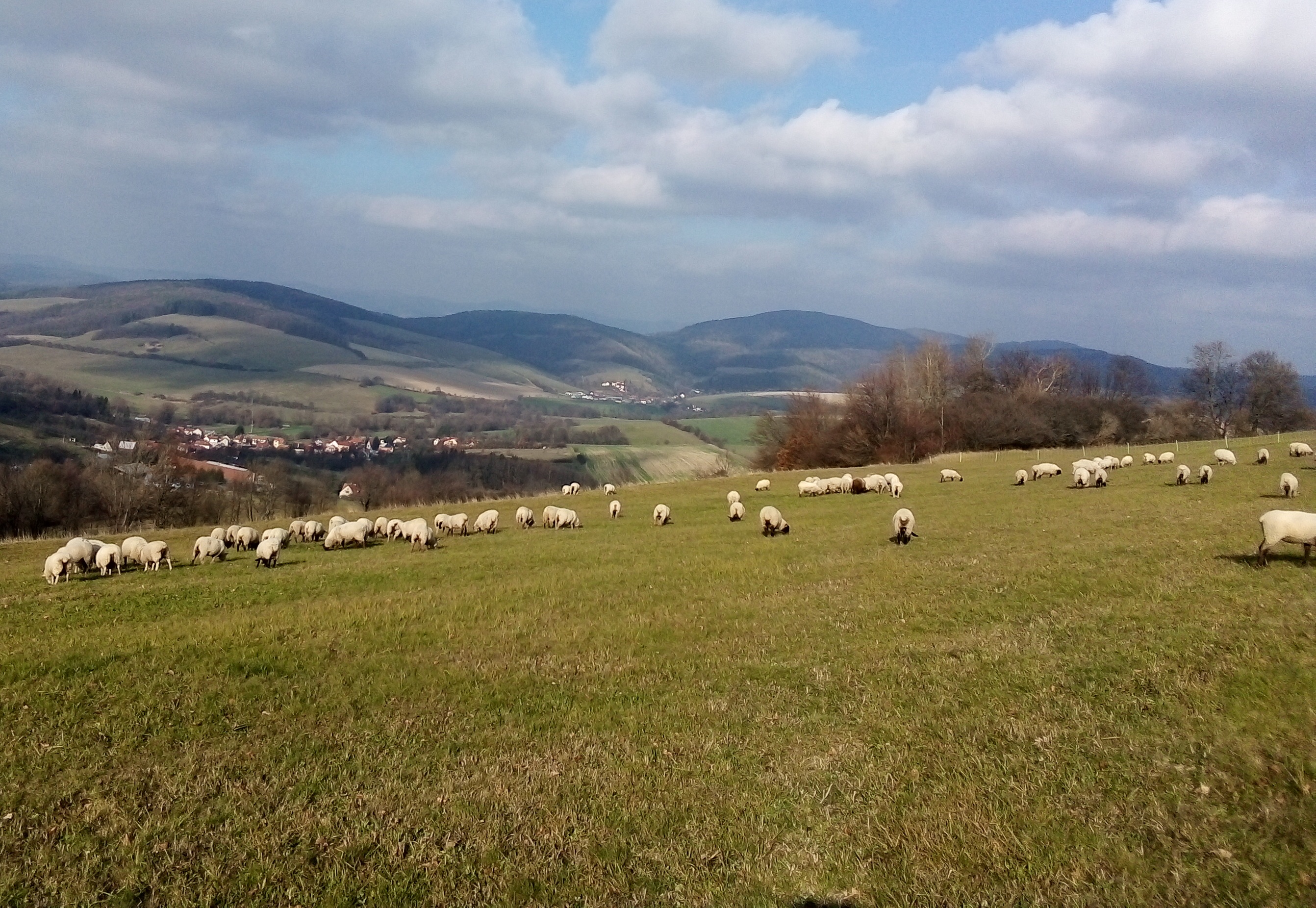 Gabriela Šuráňová - EKO farma foto 3