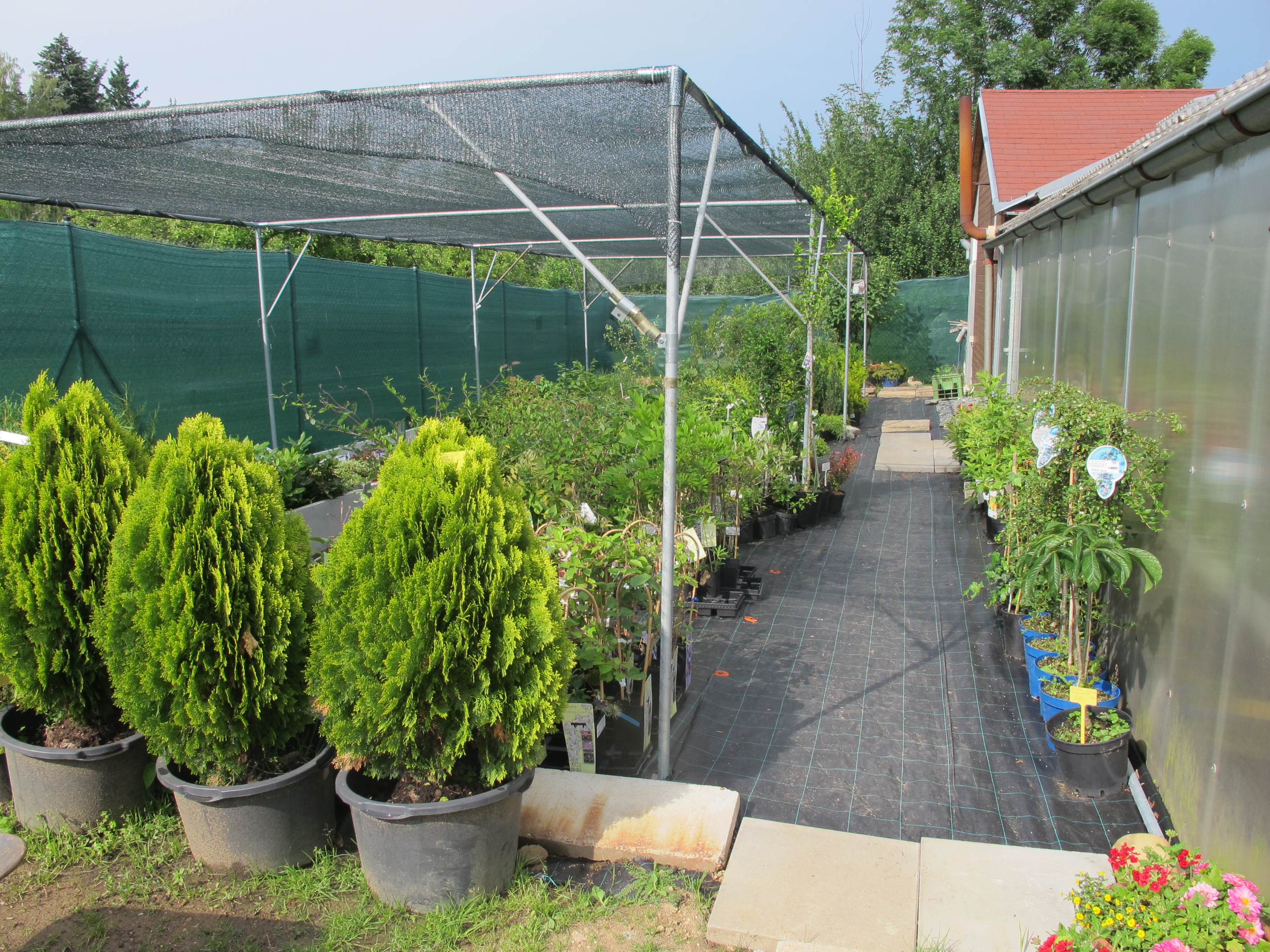 Zahrádka u hřbitova foto 5