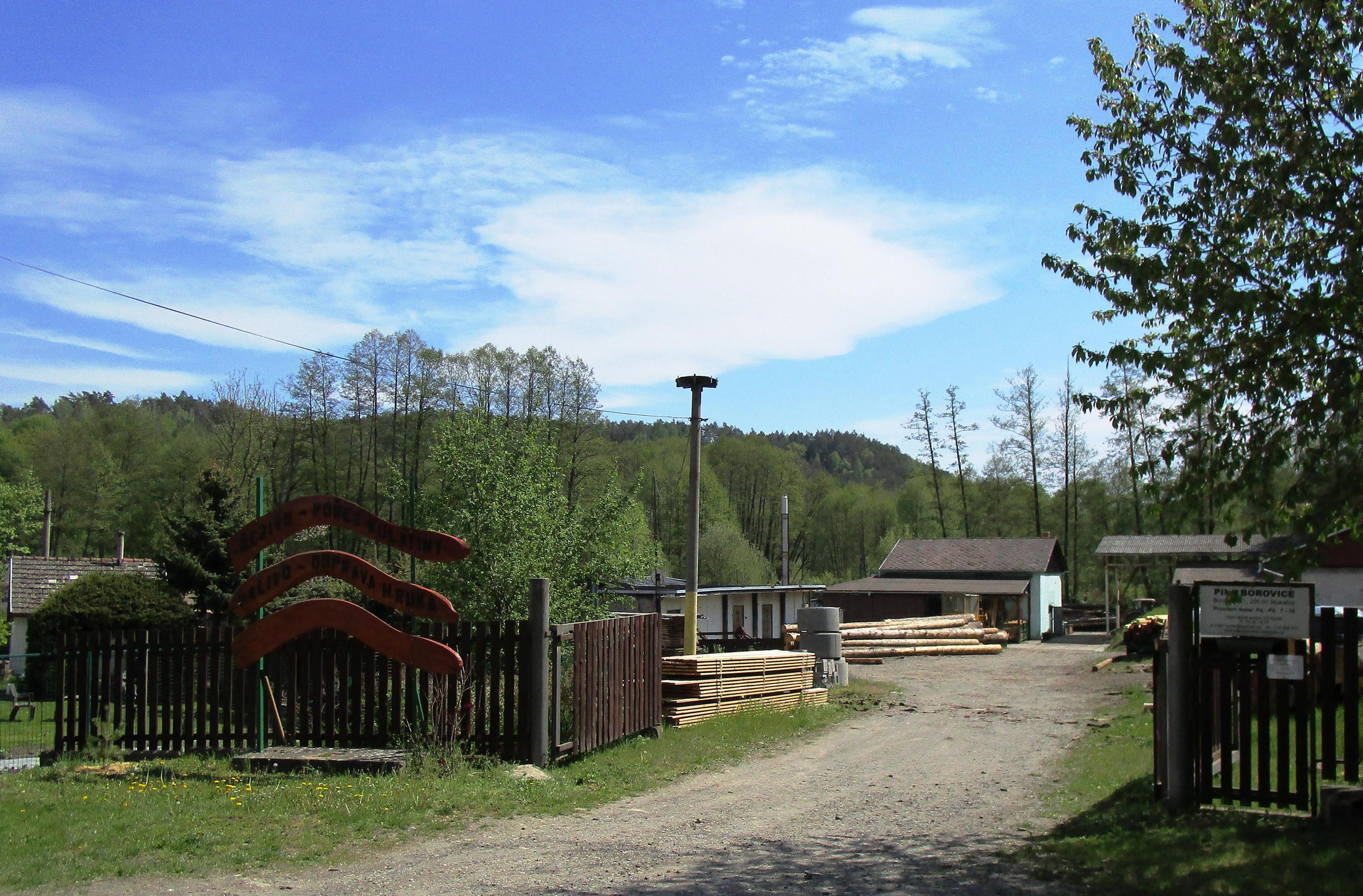 Pila Borovice - Vít Hýzler