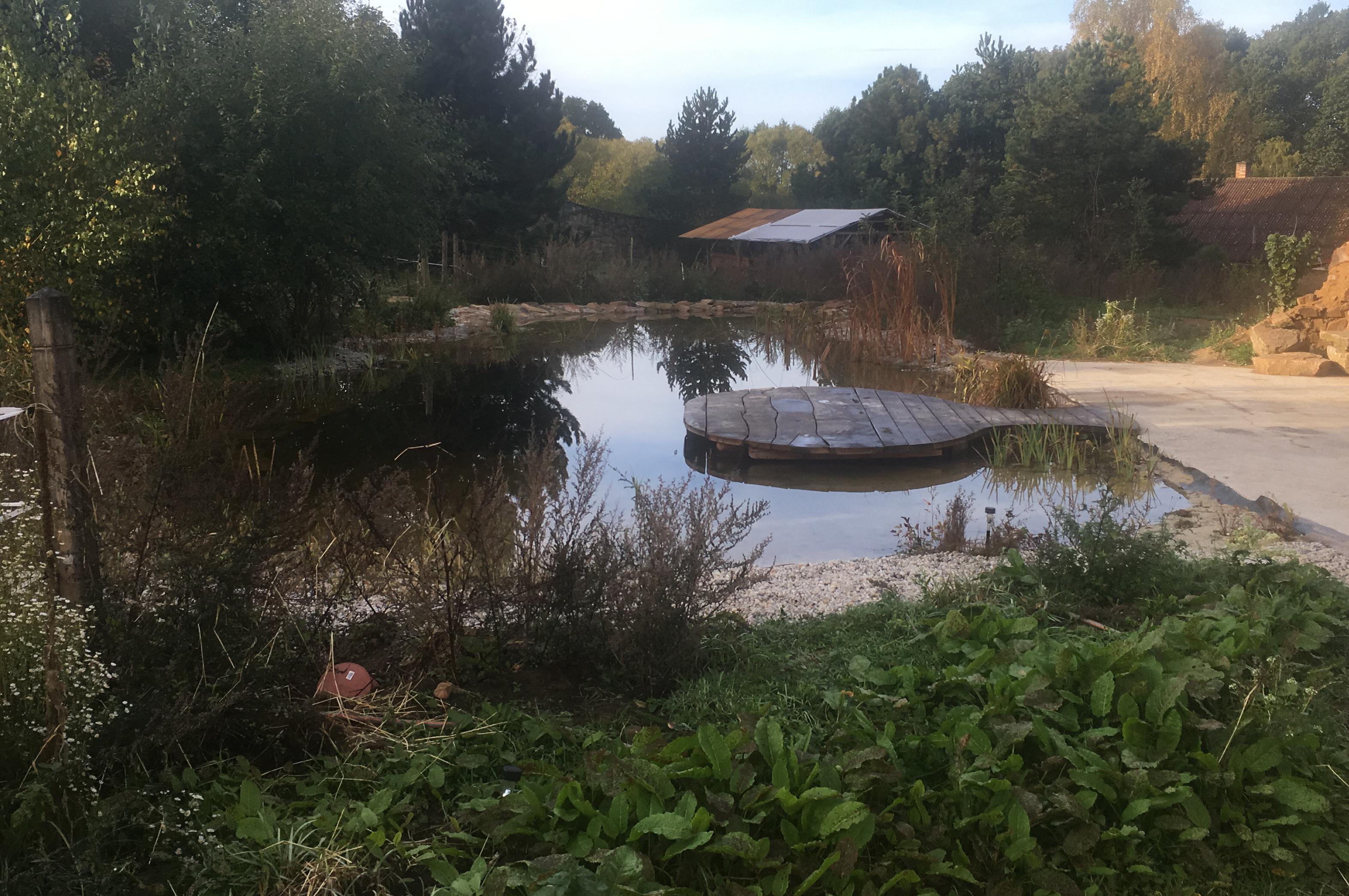 Rybníkář - Kamil Cifera