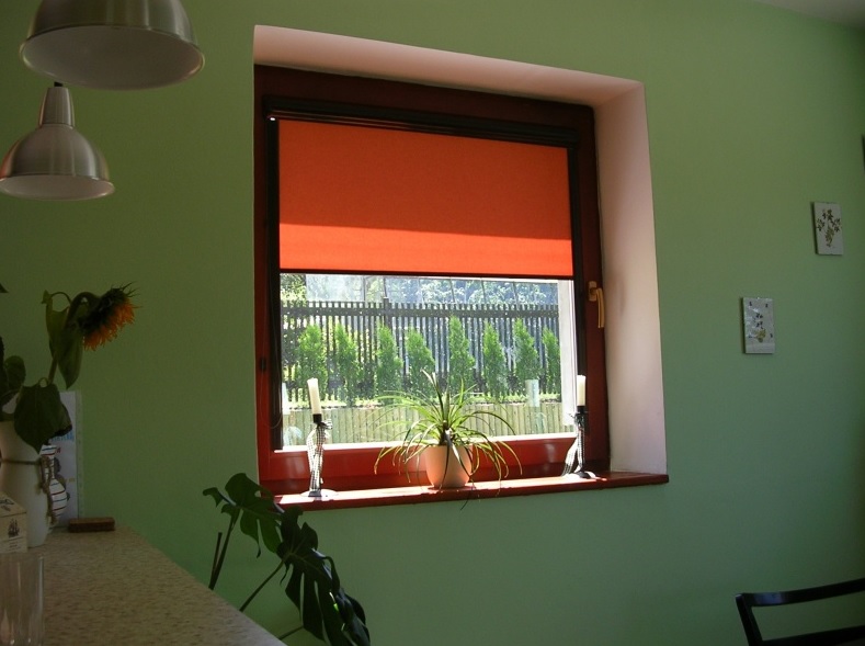 Pavel Šabata - Žaluzie foto 4