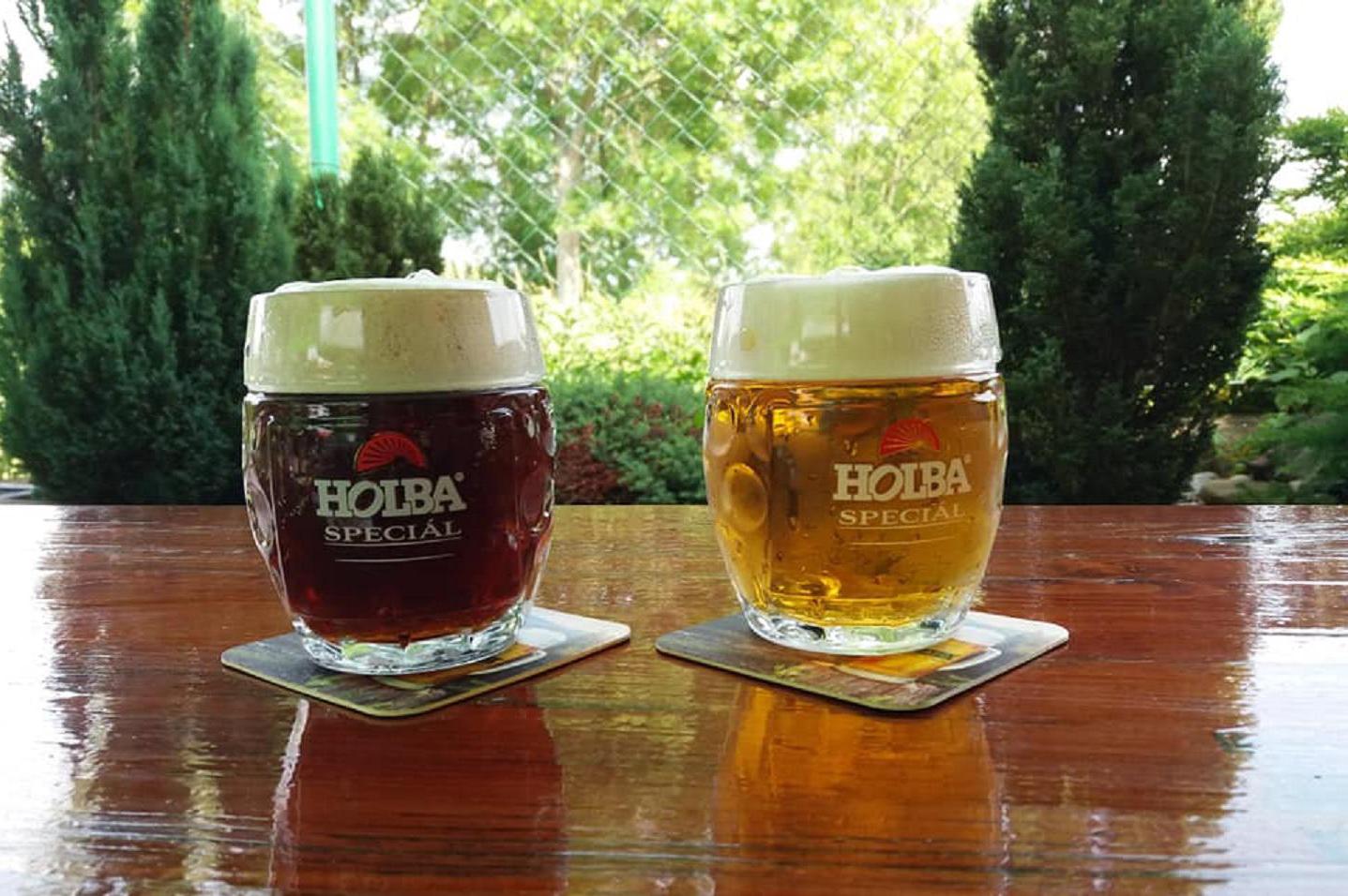 U posledních sil - Michal Viktora