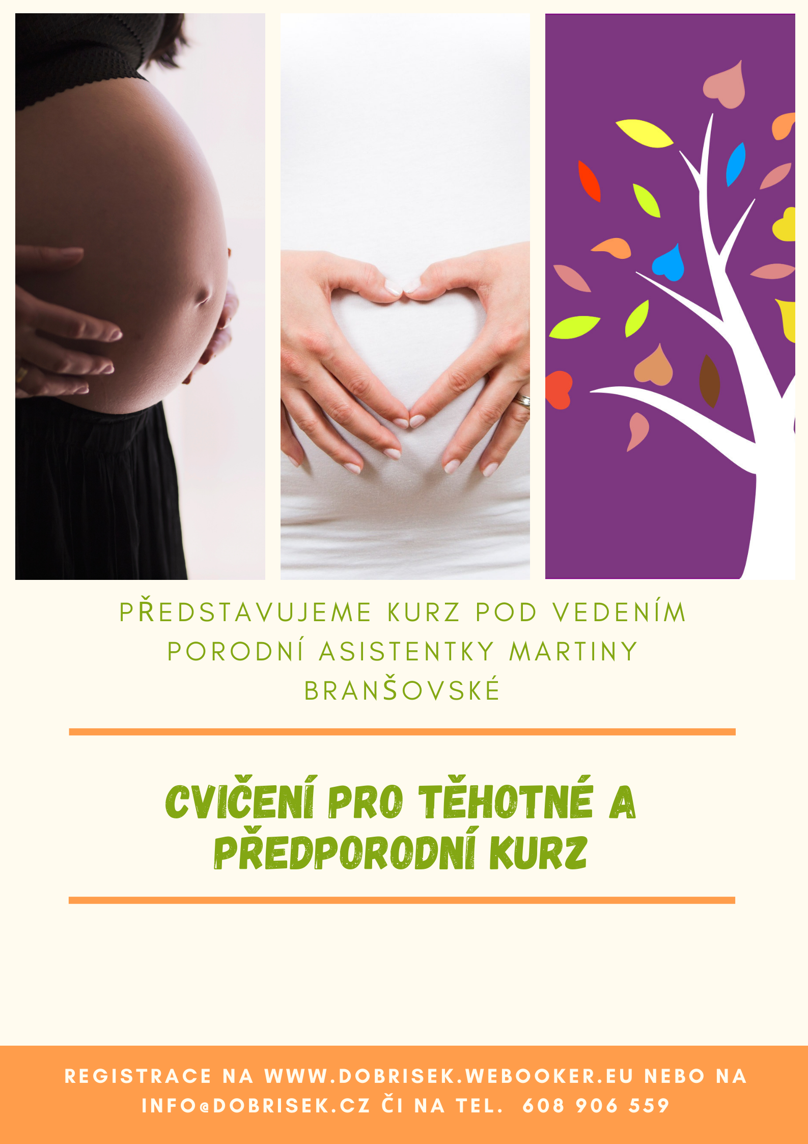 Rodinné centrum Dobříšek, z.s. foto 6