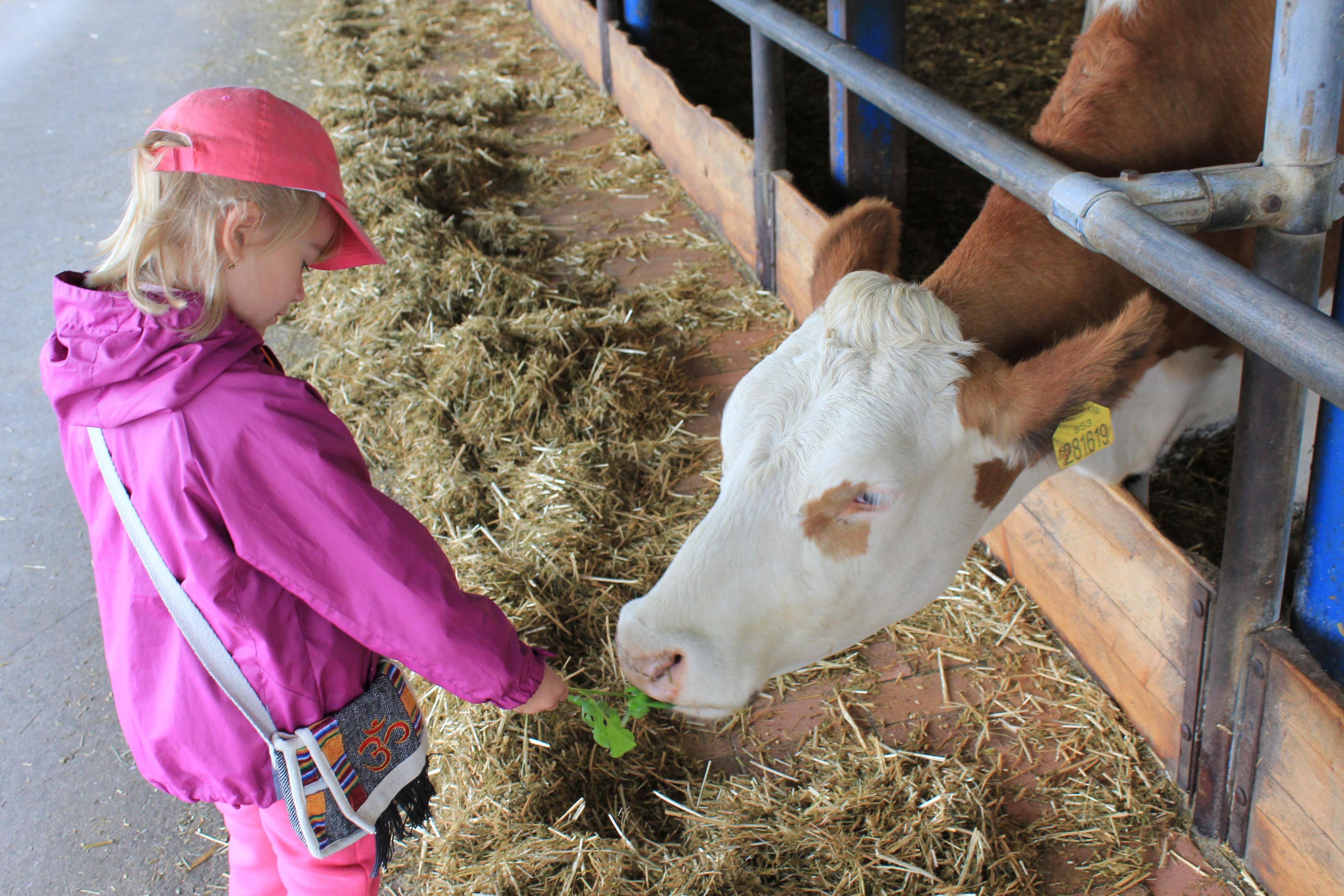Zemědělsko obchodní družstvo Zálší, družstvo