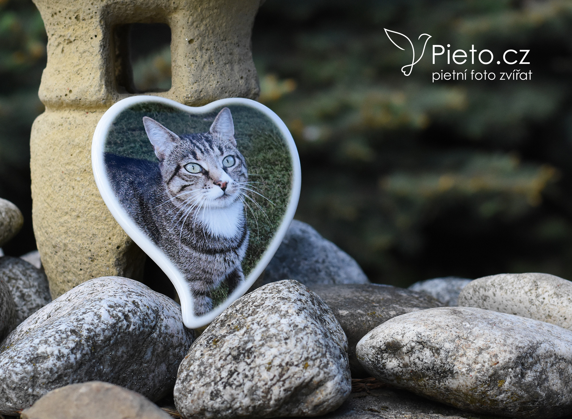 Pieto.cz foto 5