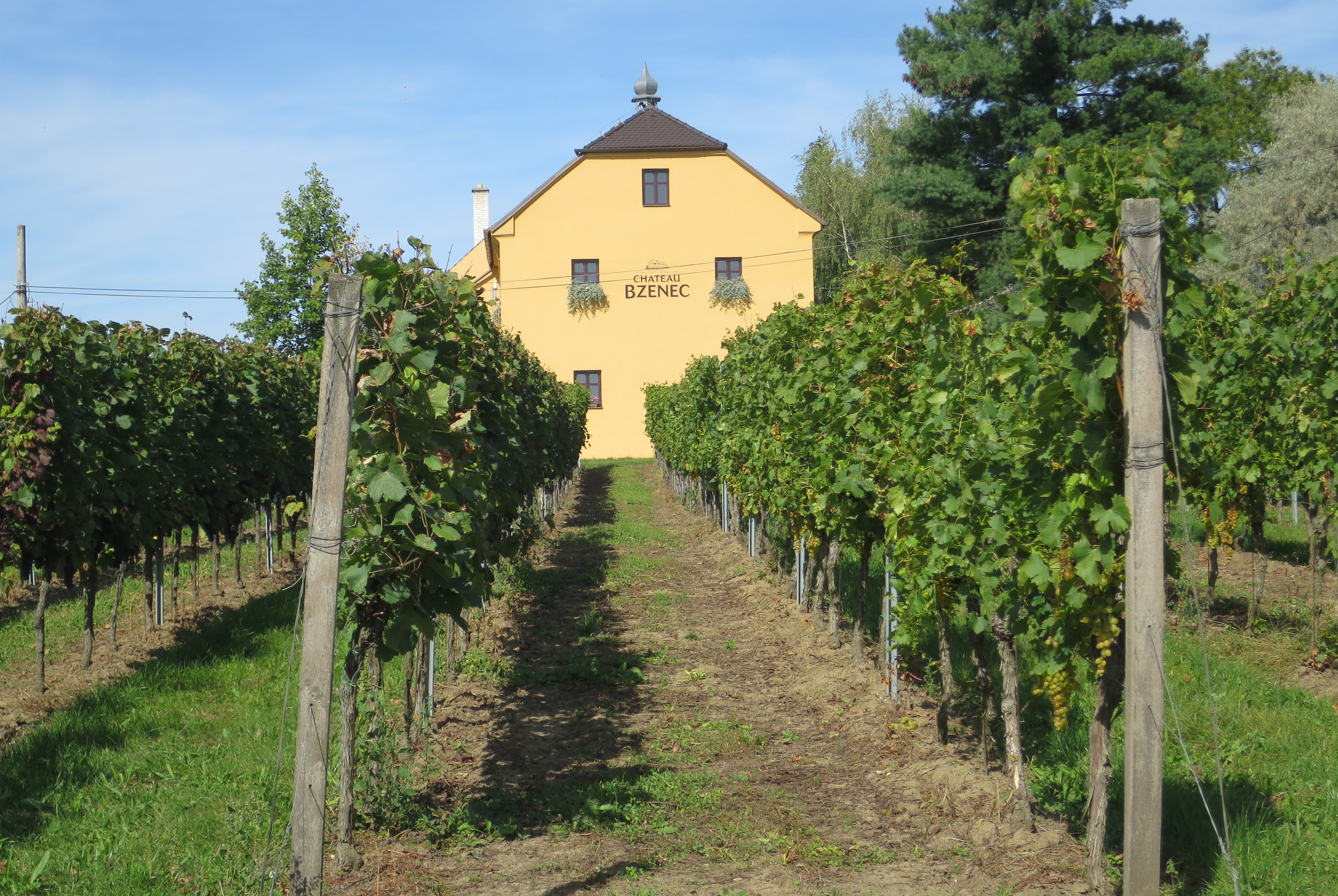 Vinařství Chateau Bzenec foto 2