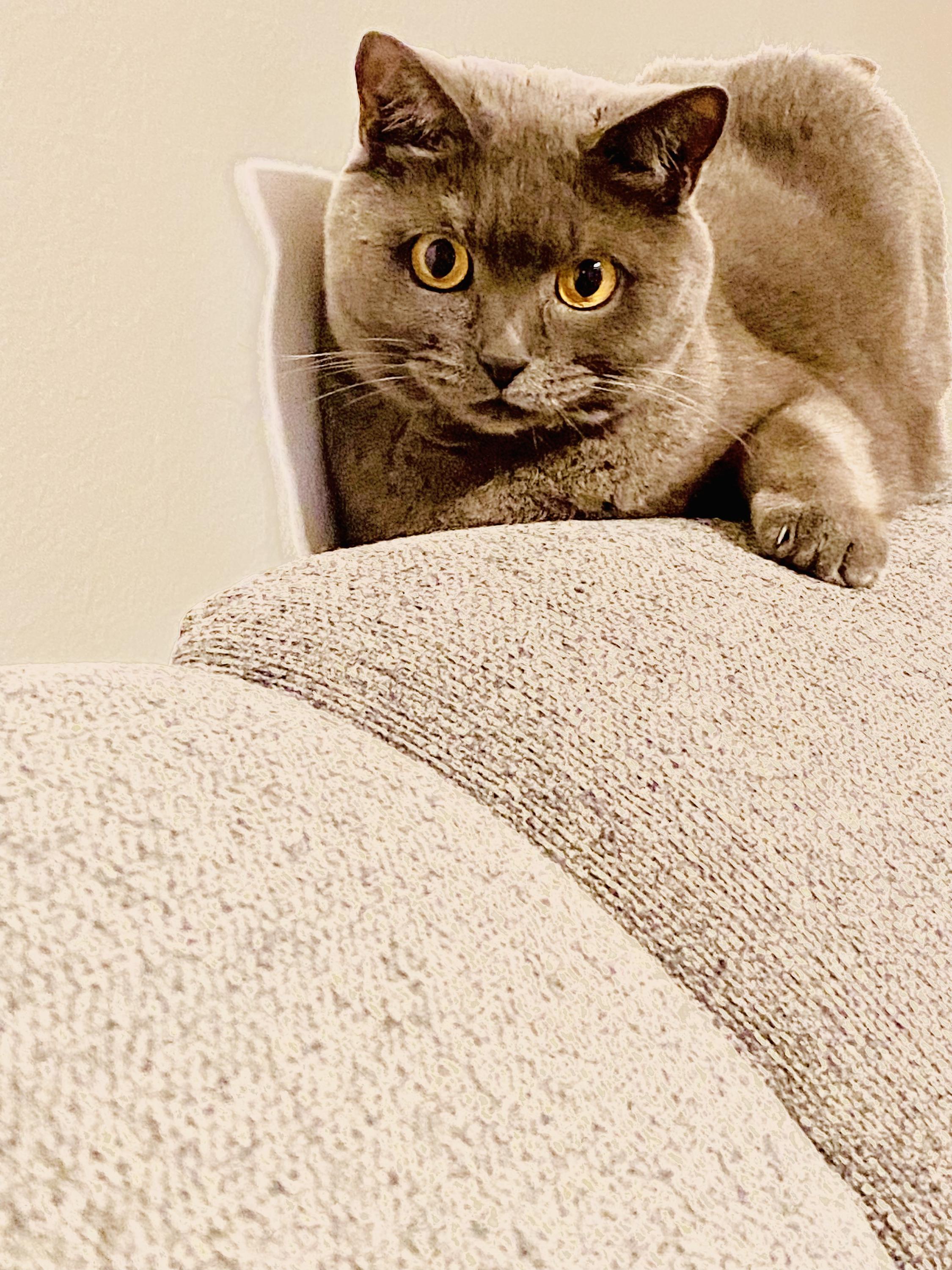 MVDr. Oldřich Poříz foto 5