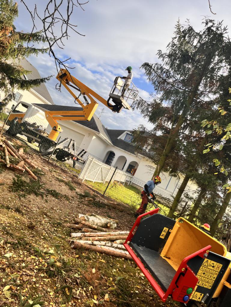 Rizikové kácení - Michal Ženíšek foto 3