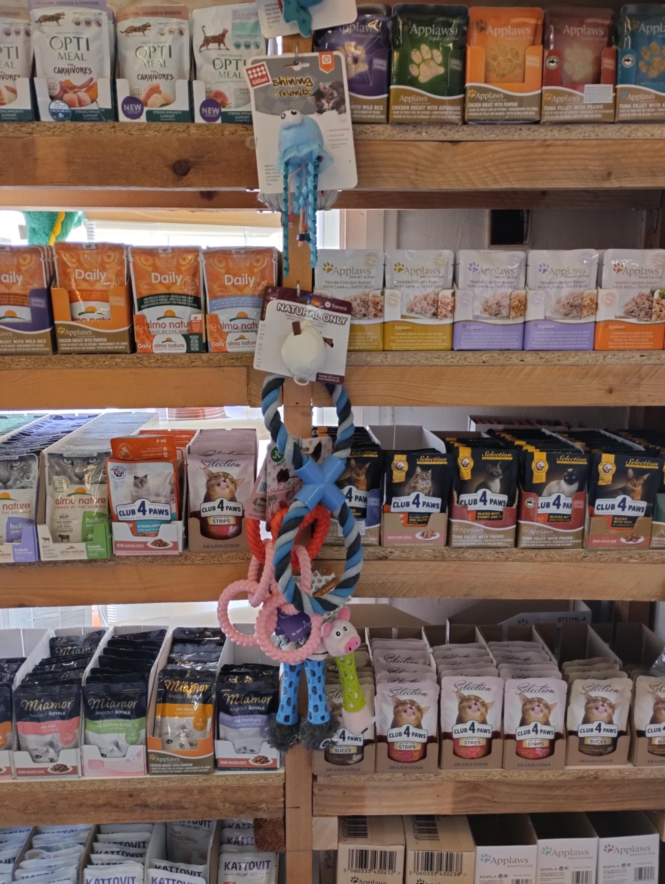 Eliška Forgáčová foto 4