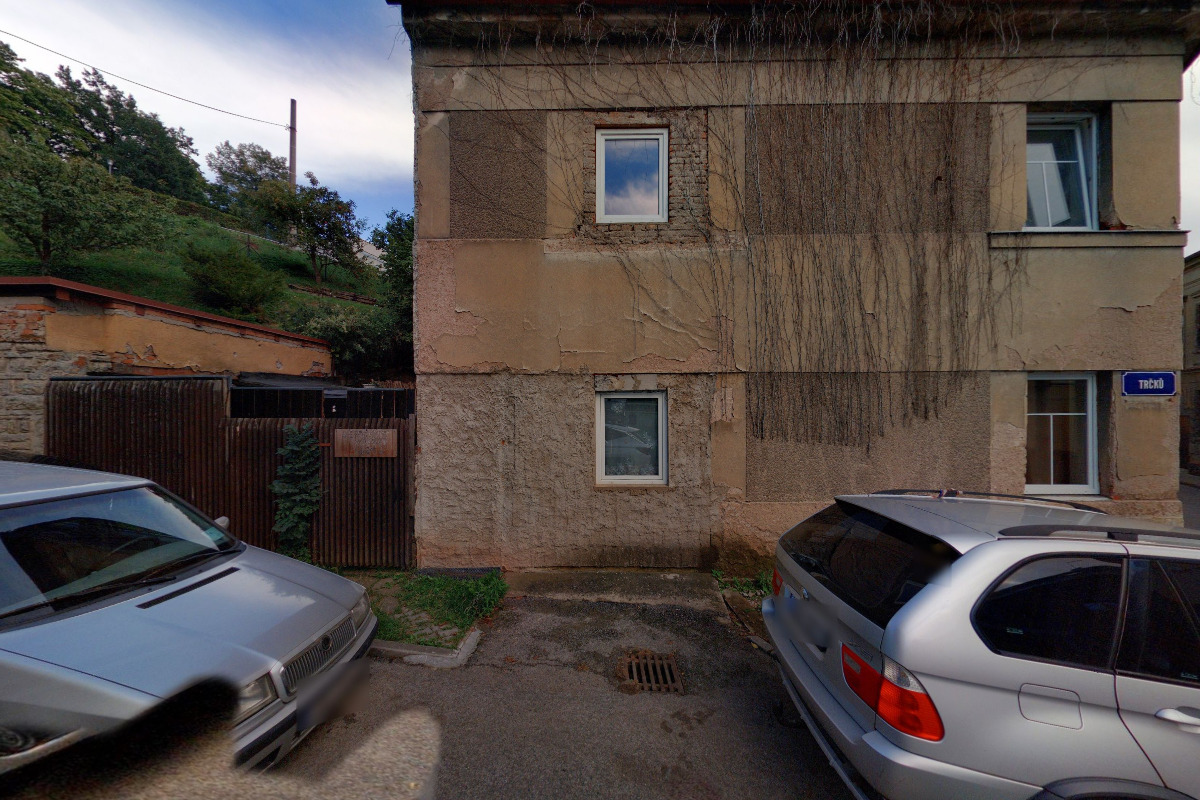 Jiří Fridrich - FLASH