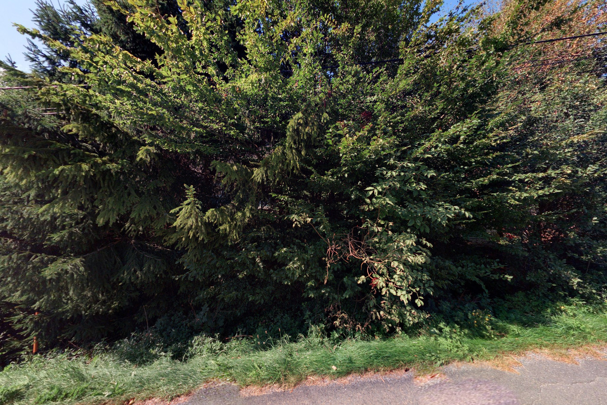 MISE - o.s. sdružení mládeže pro Evropu