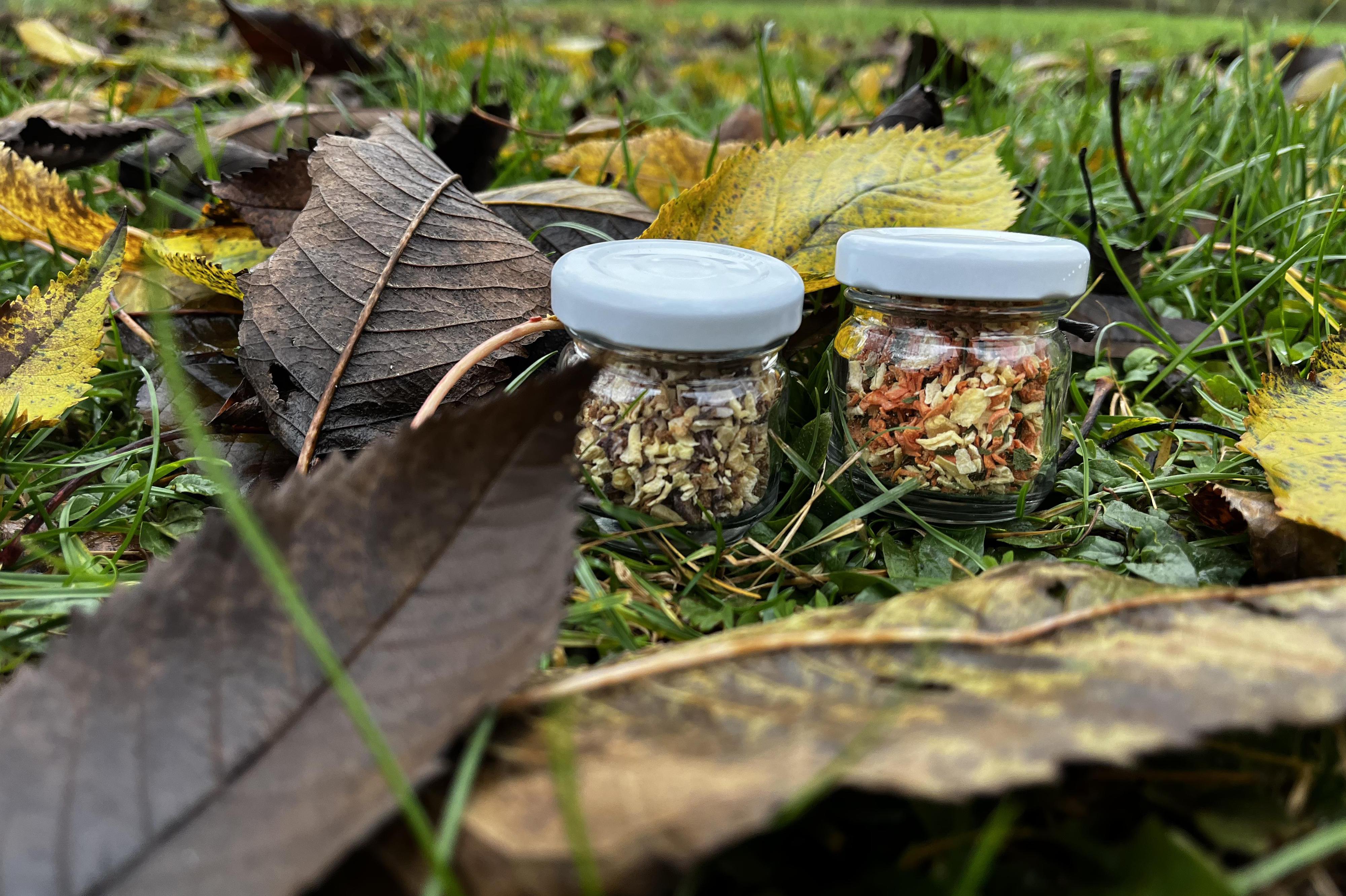 Sušíme s láskou.cz