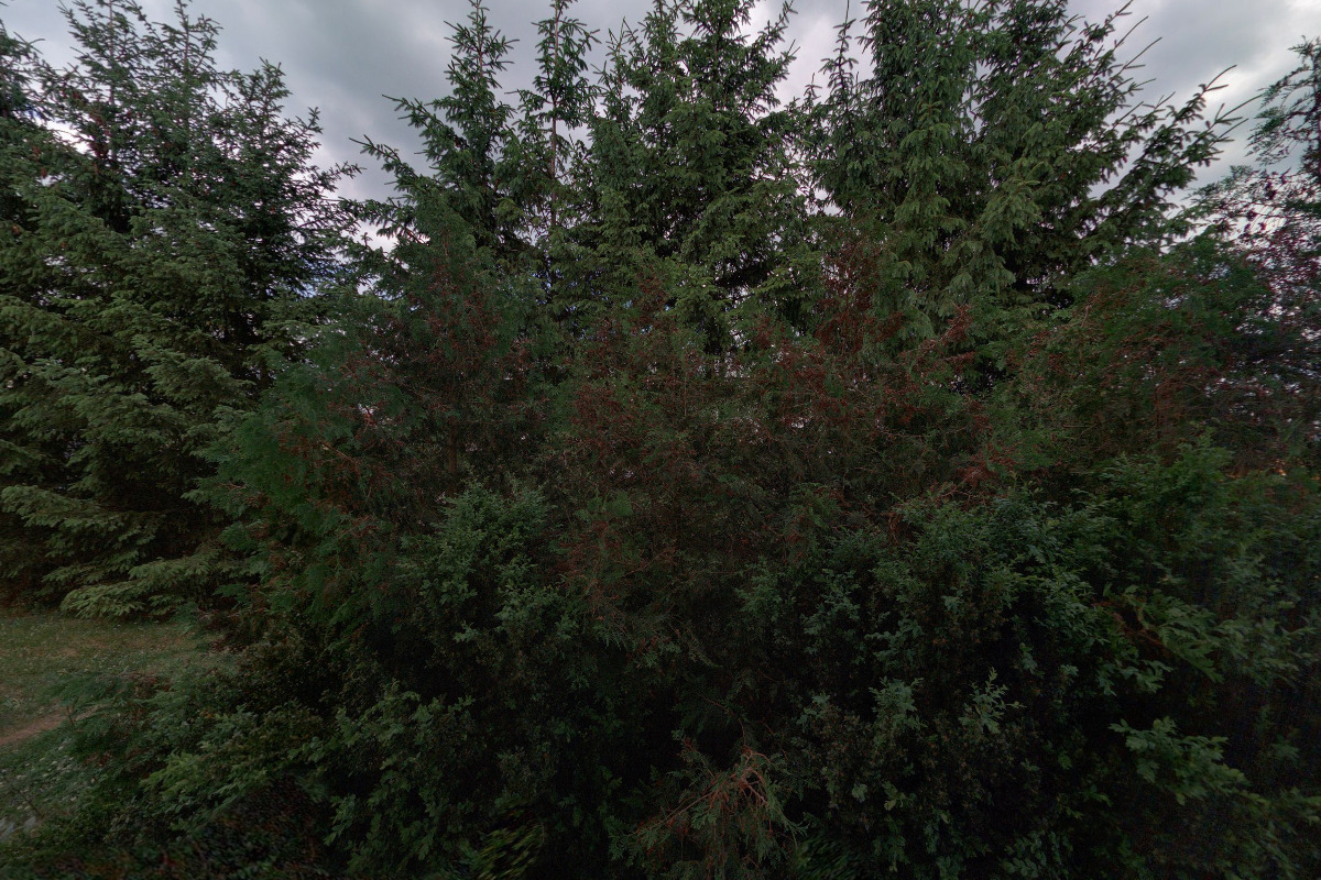 TOPTRANS EU, a.s., organizační složka foto 3