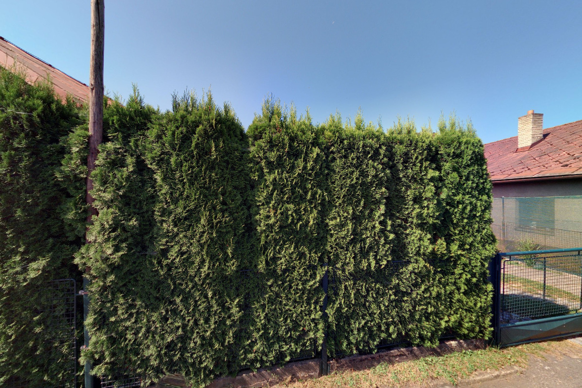 Radka Vytlačilová foto 1