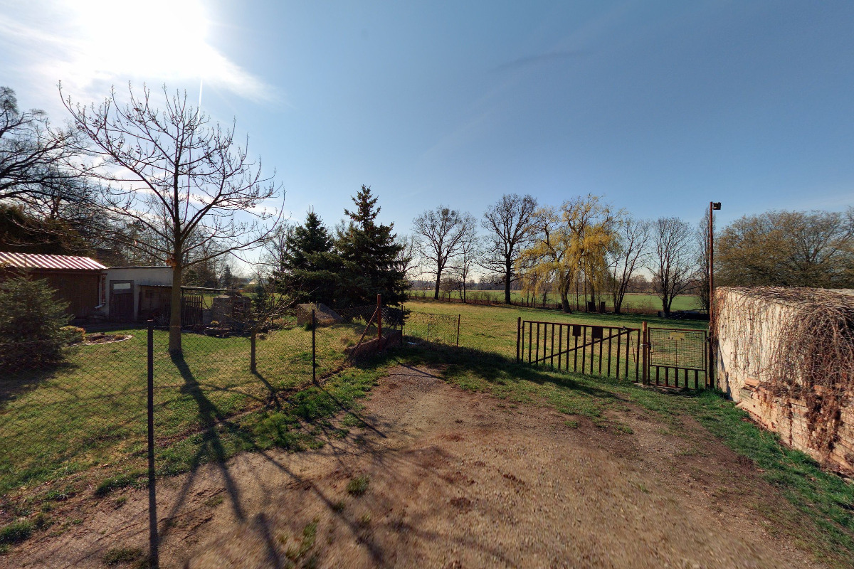 Základní kynologická organizace