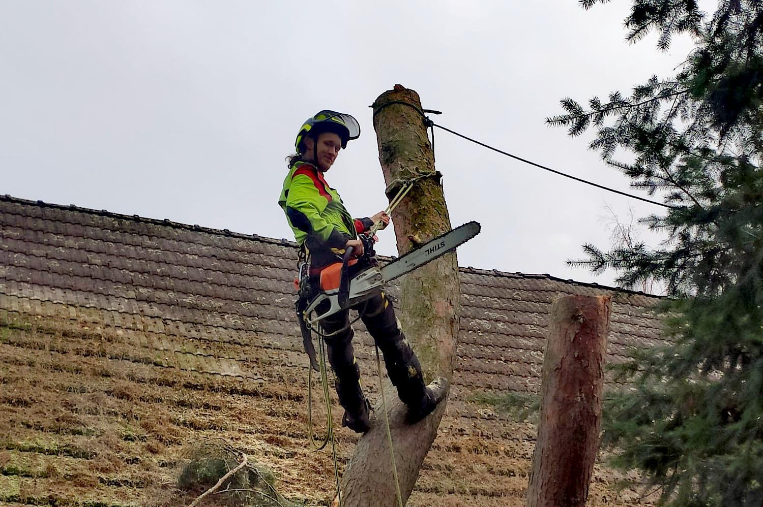Tree Works - rizikové kácení a prořez stromů
